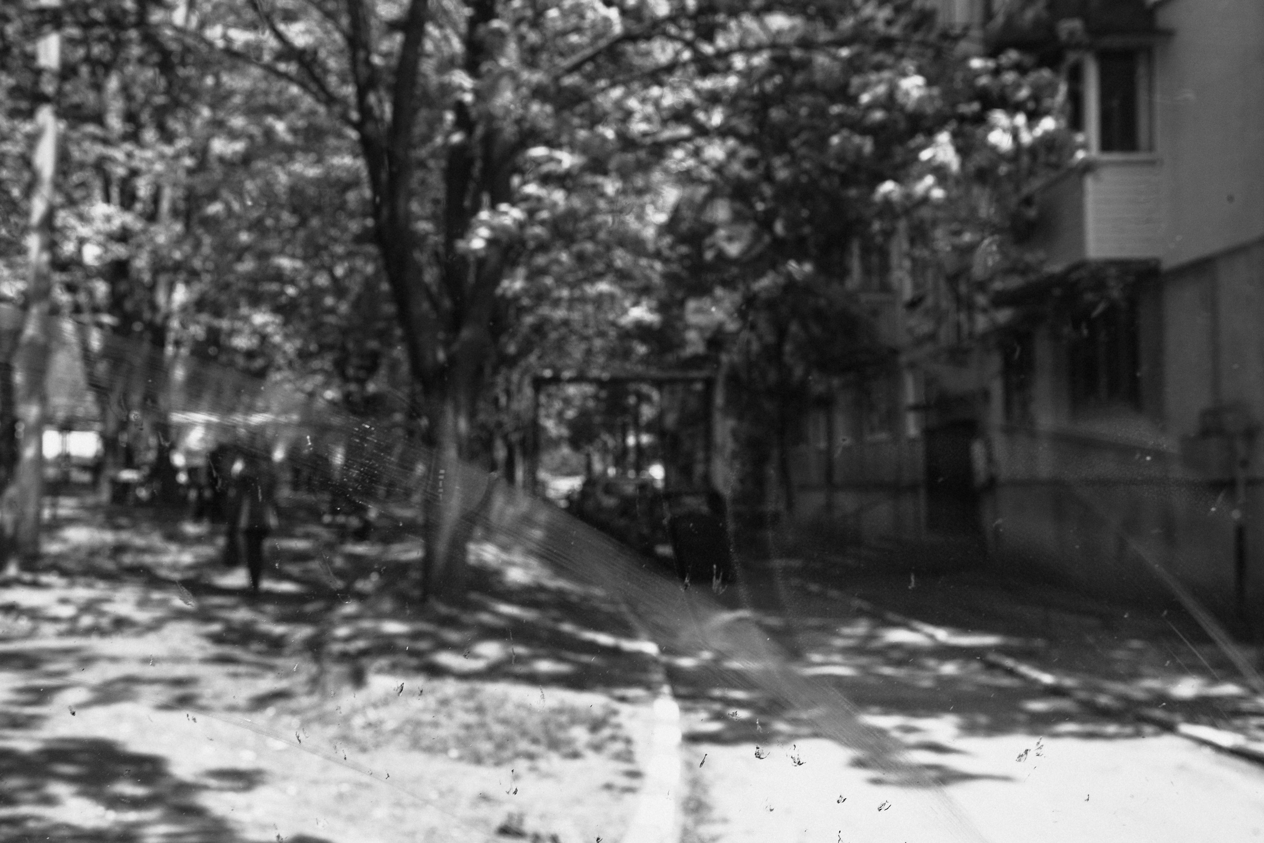 Край. Фотограф Андрей Друк