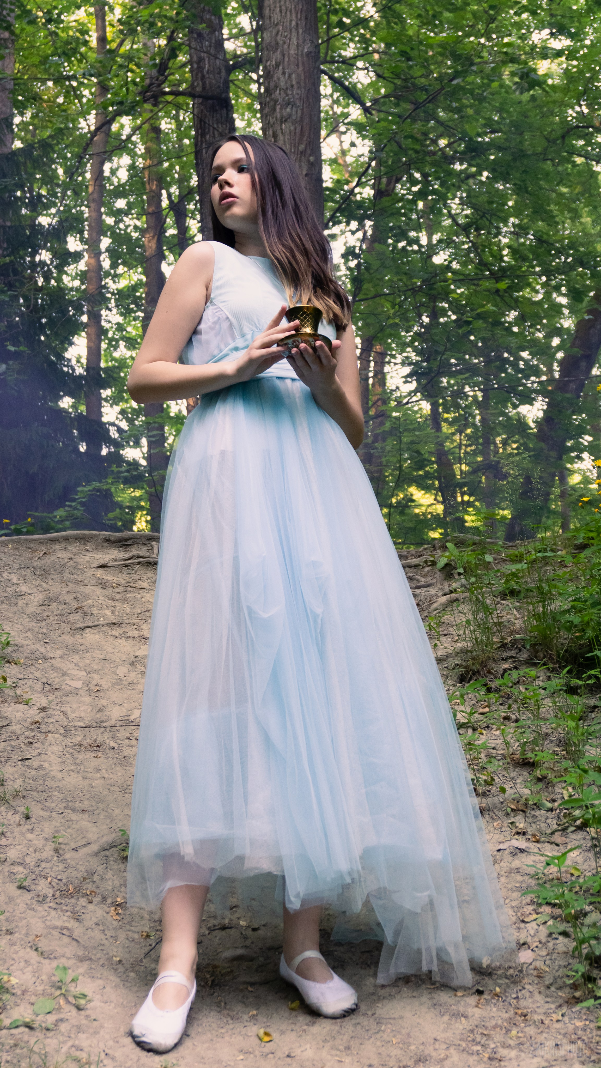 Alice In Wonderland. Main