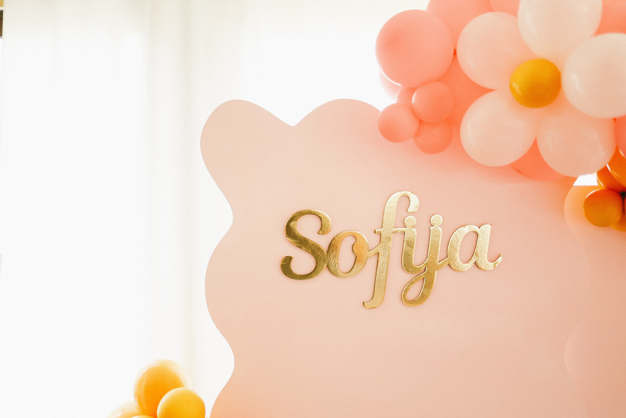 Sofija. Vlada toskic wedding and event photographer