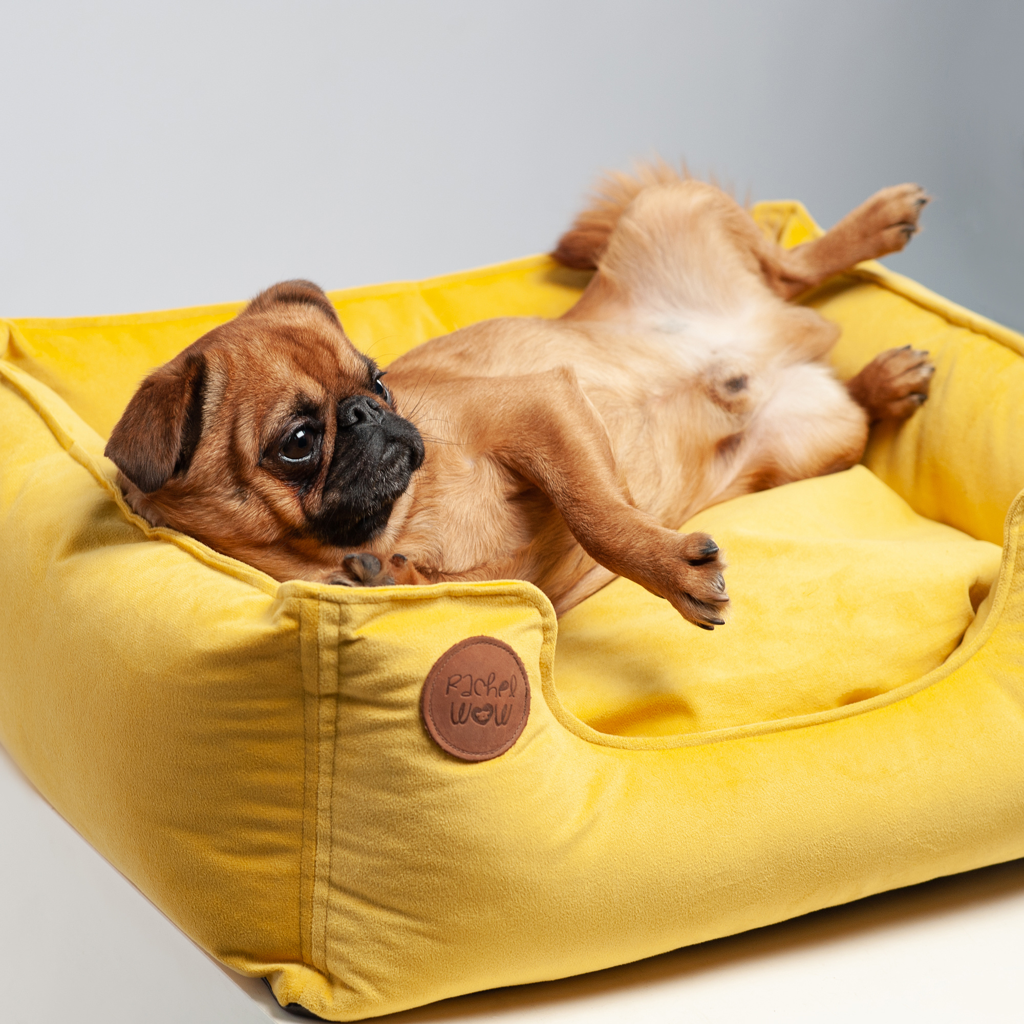 Коммерческая и рекламная съёмка с участием животных. Фотограф в Белграде Таня Асфирь