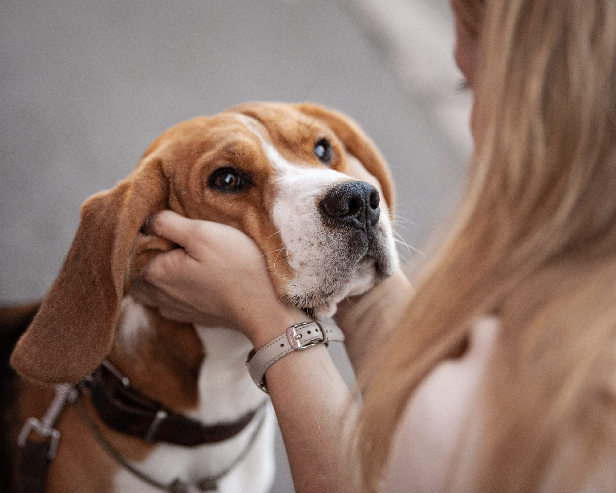 Фотопрогулки с собакой. Фотограф в Белграде Таня Асфирь