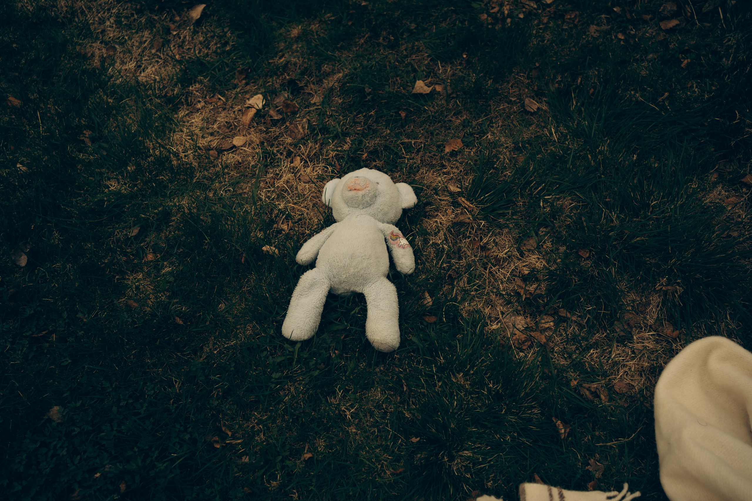 FAMILY BRULAND. Photographer and videographer in Norway and Slovakia Andrea Zemko