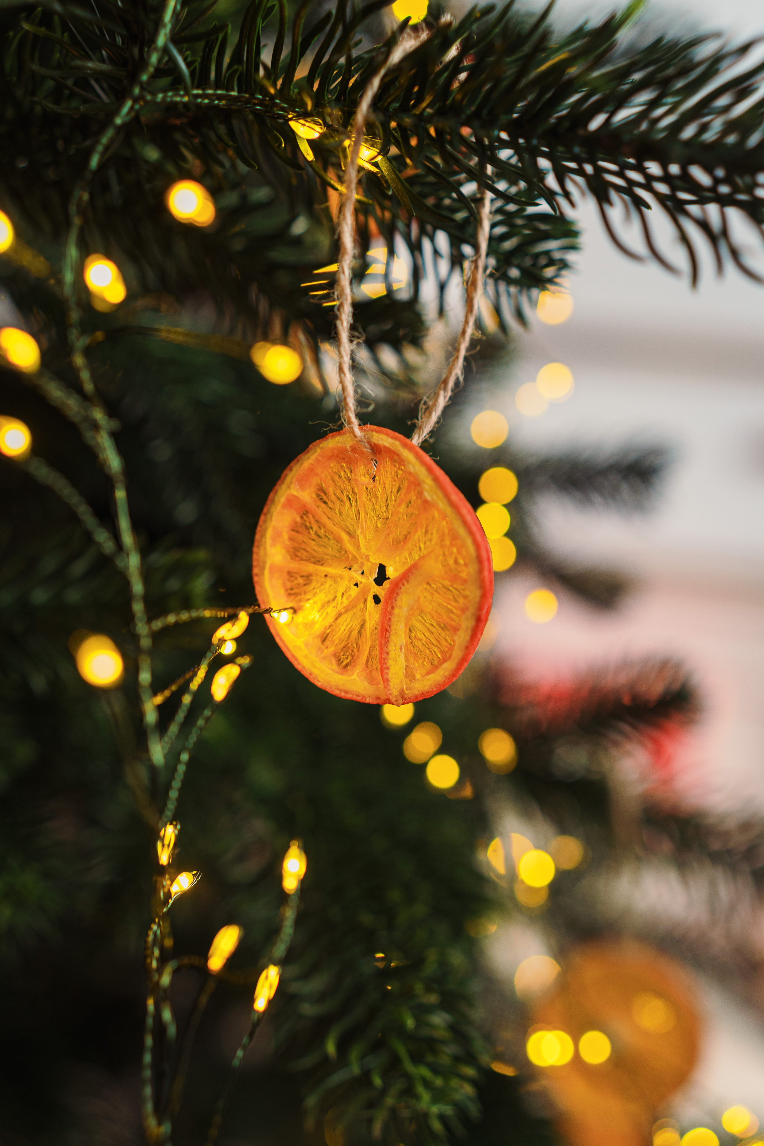 Decor Craciun 2023. Raw Studio. Fotograful tau de nunta!