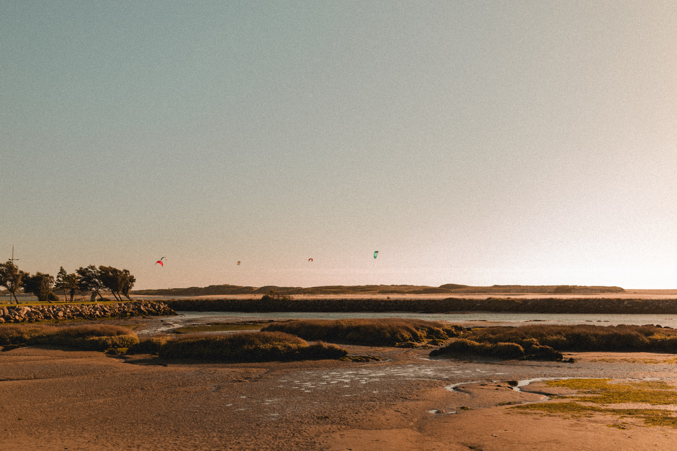 Tânia & Gui. Photographe de mariage et de famille à Braga — Alexandra Mieres Photography
