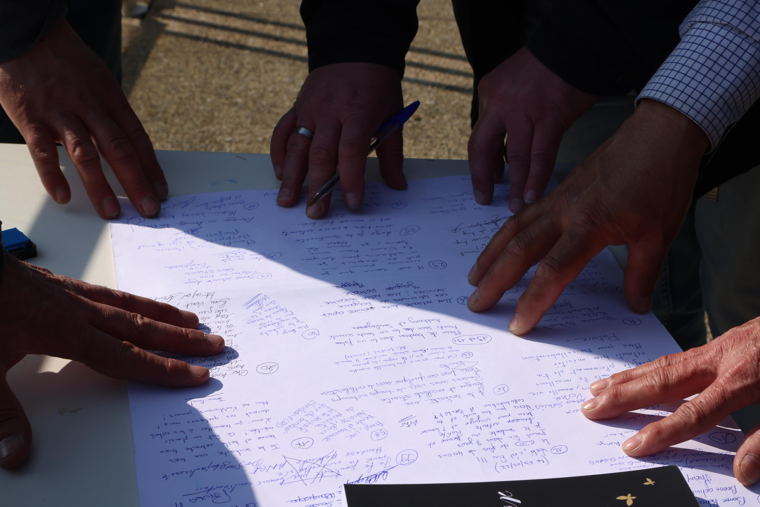 INEO. Natalia Bogdanovska. Films et photographie corporate en France