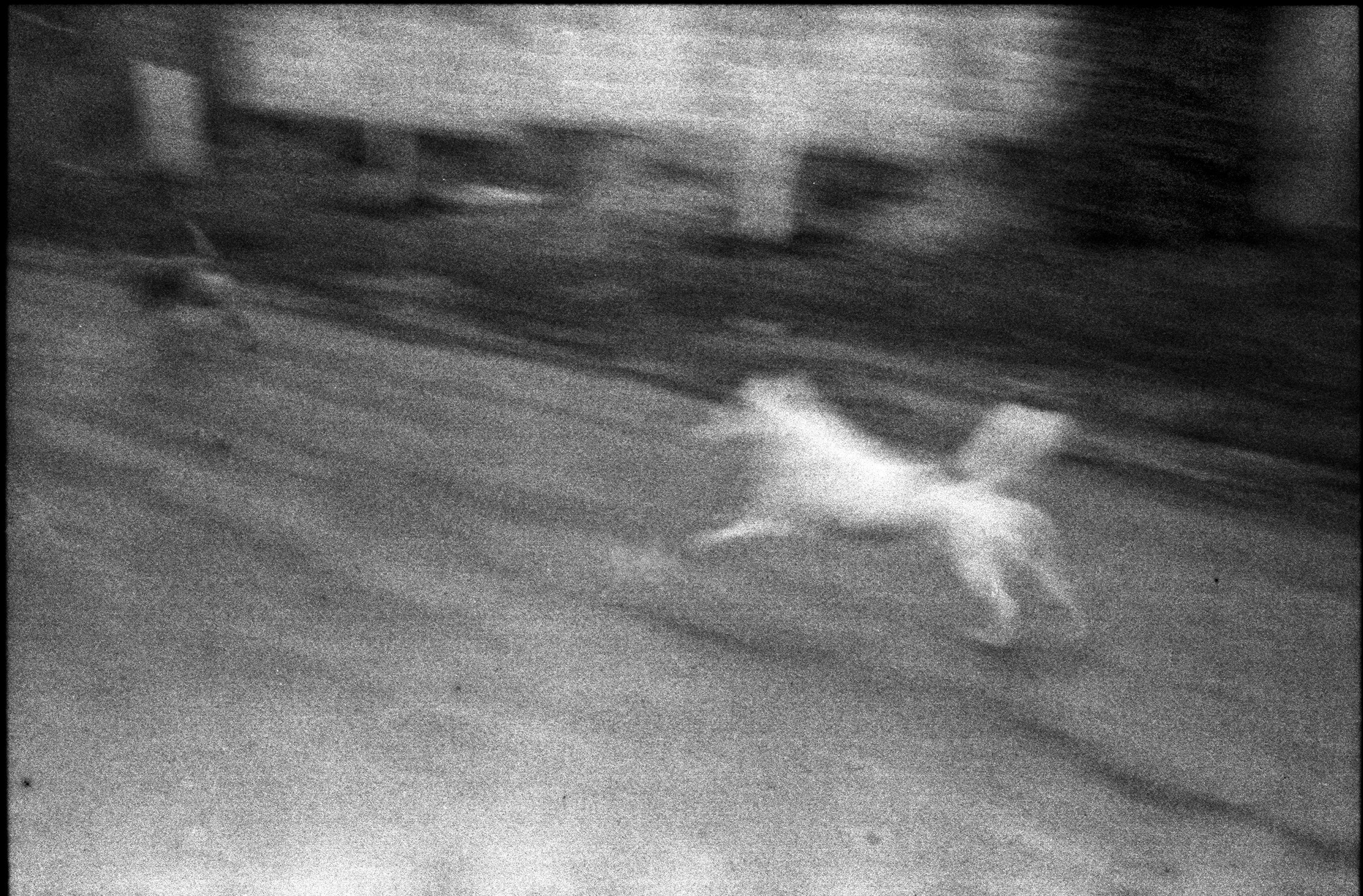 Silent light. Natalia Parfenova visual artist film photographer