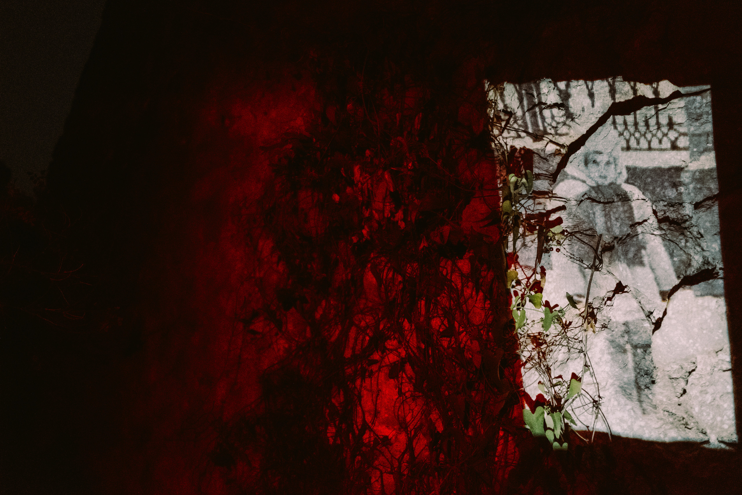 Фотопроект о памяти. Photographer Anastasiya Dubrovina