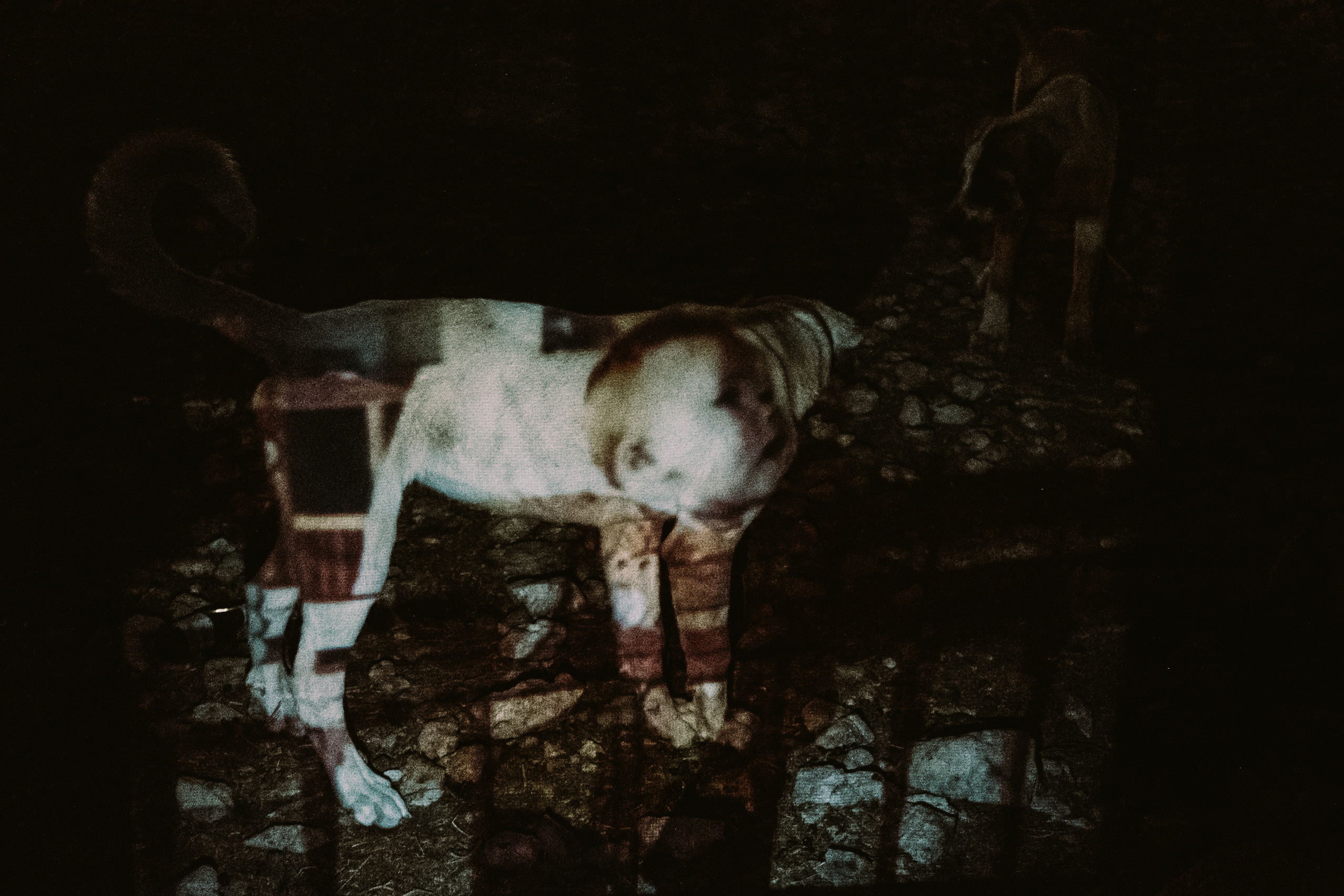 Фотопроект о памяти. Photographer Anastasiya Dubrovina