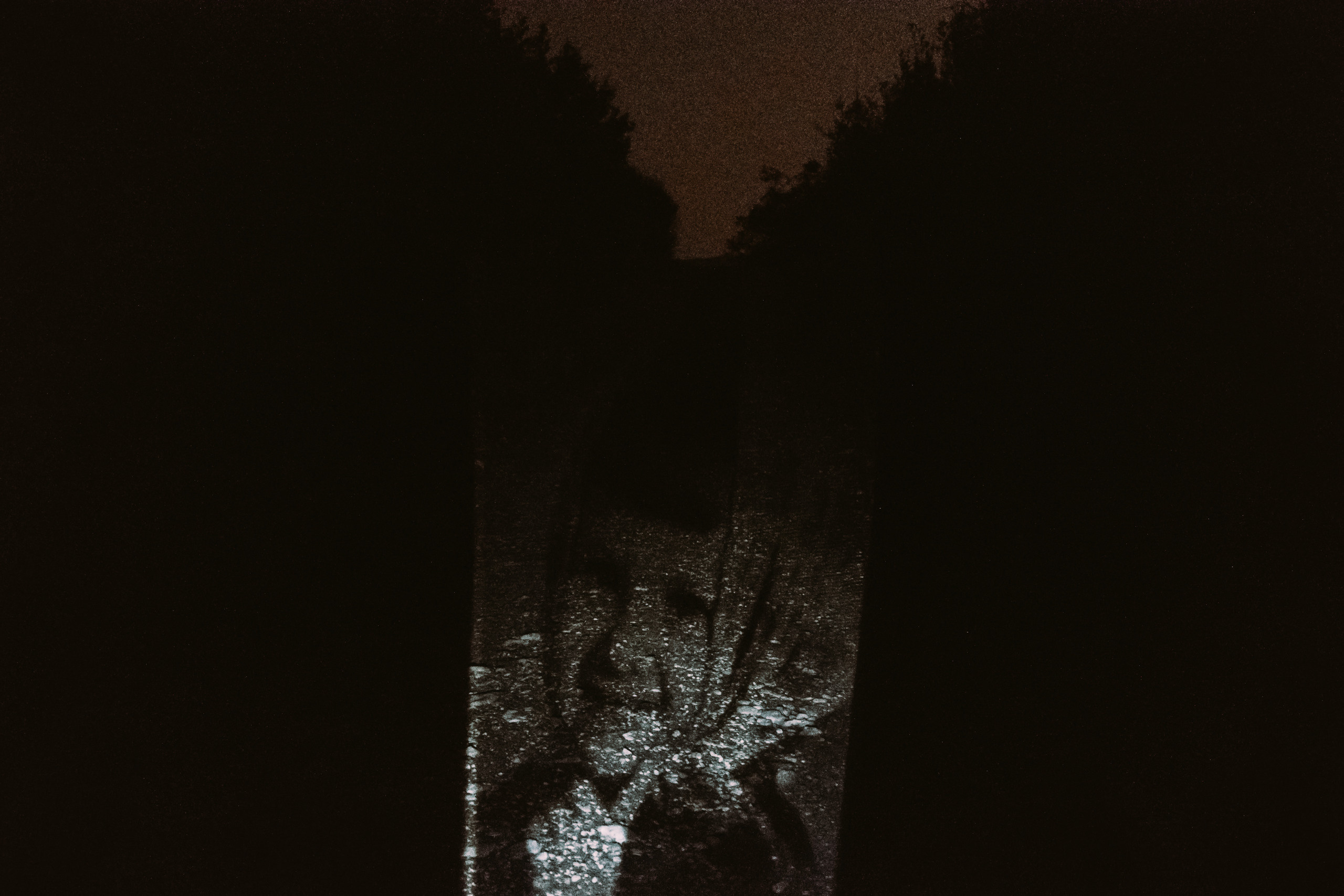 Фотопроект о памяти. Photographer Anastasiya Dubrovina