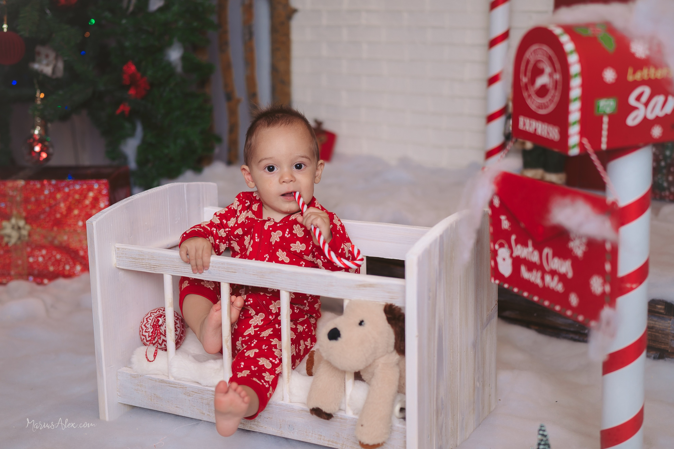 Familia Hacman - Un Crăciun de poveste. Marius Alex fotograf de eveniment si portret din Suceava