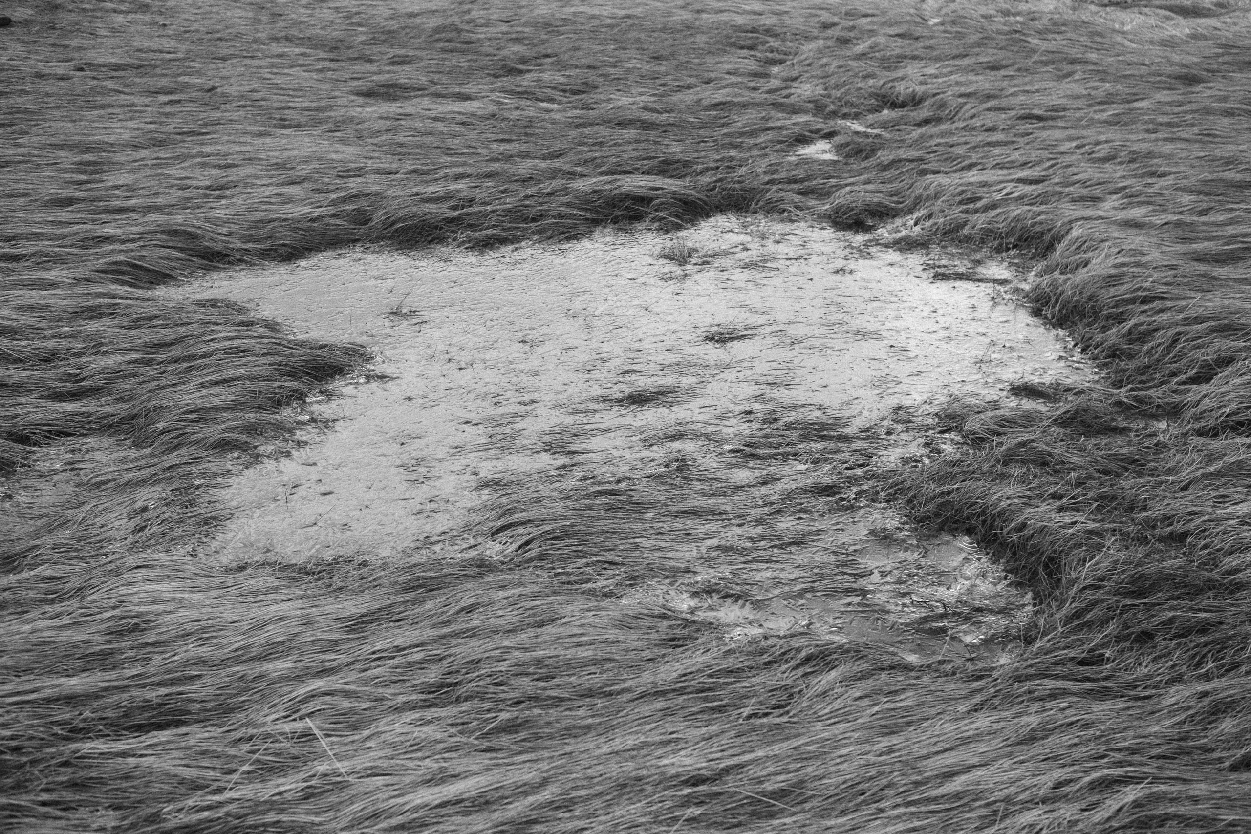 Tersky coast. Photographer Anastasiya Dubrovina