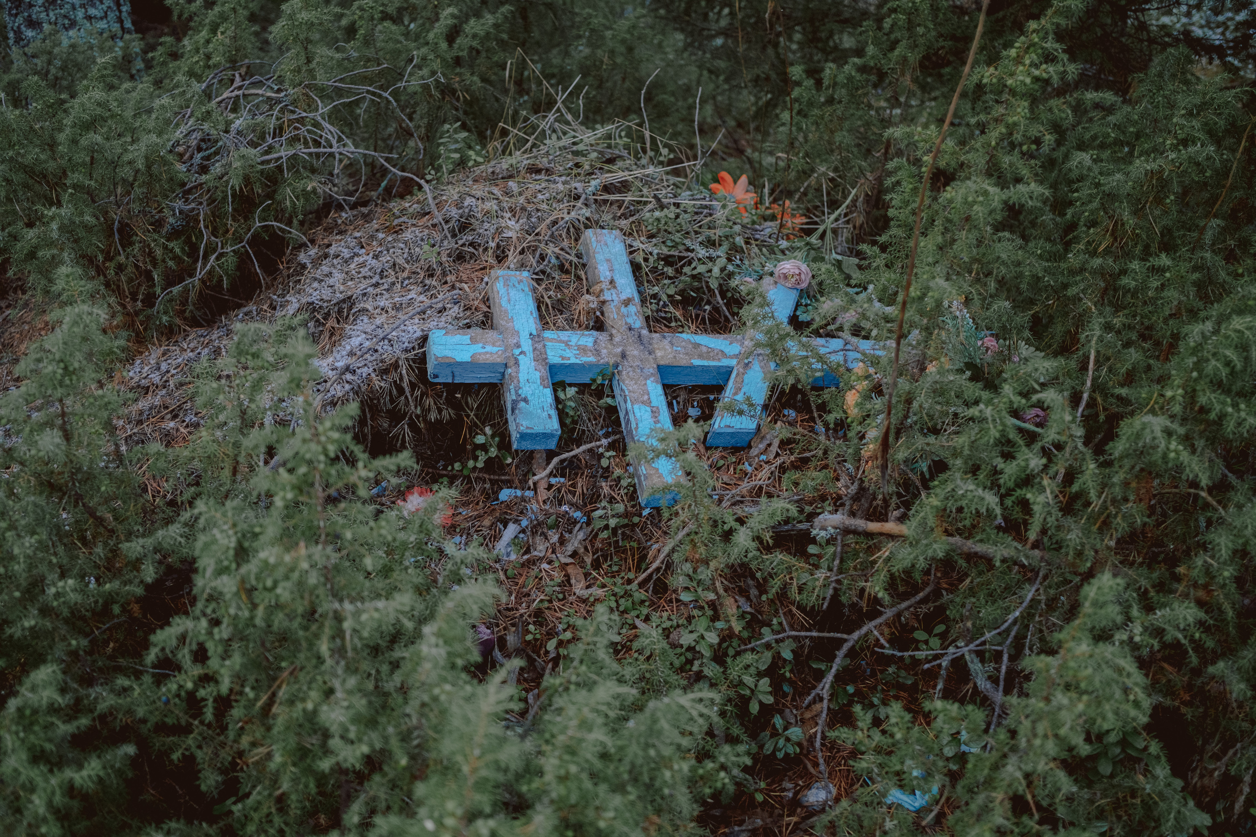 Tersky coast. Photographer Anastasiya Dubrovina