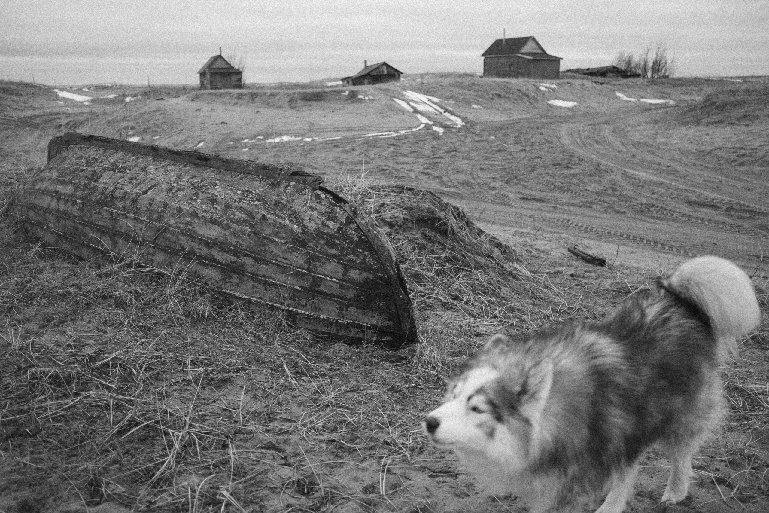 Tersky coast. Photographer Anastasiya Dubrovina