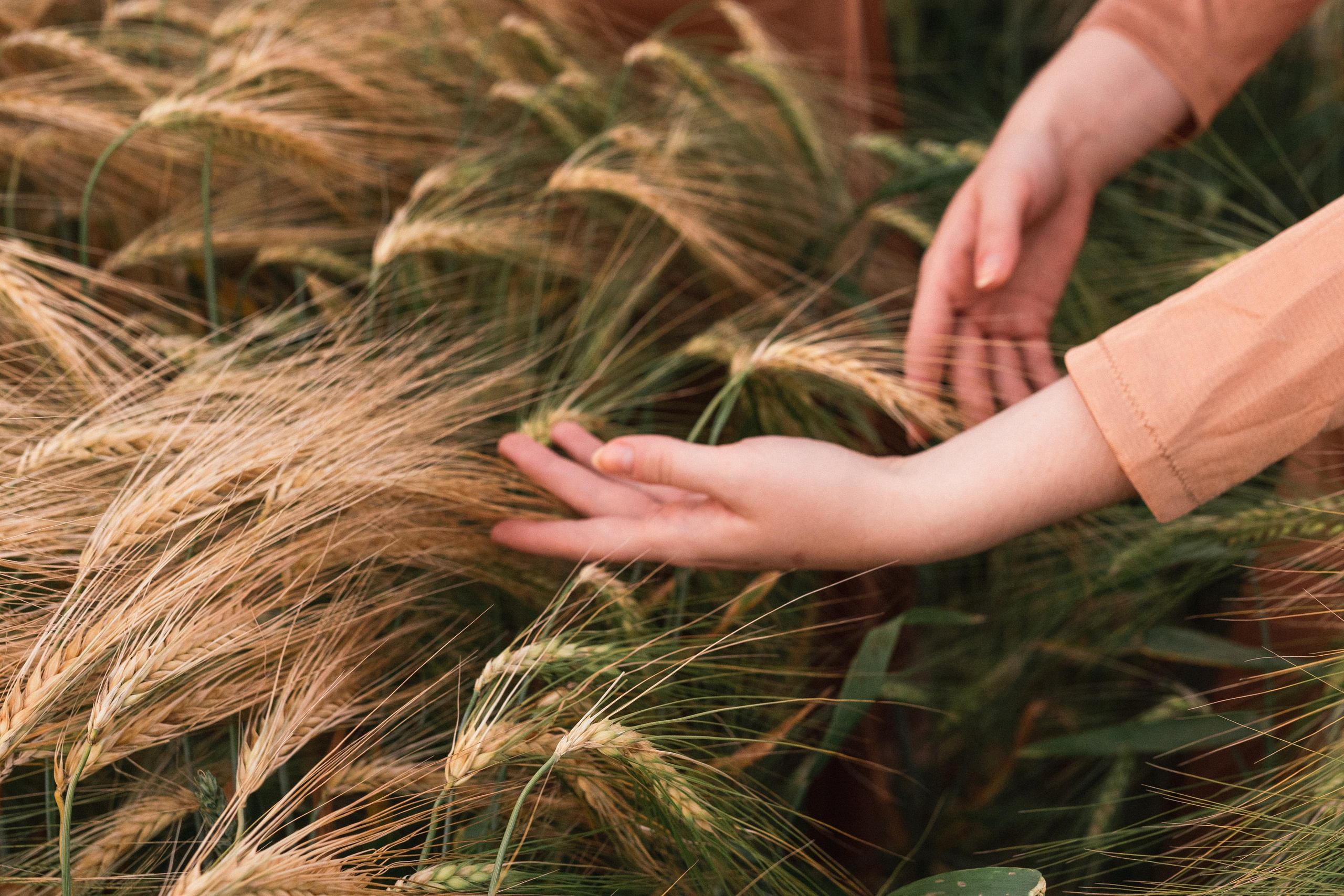 Sunset with Ballett Releve. Photography and bodyart in Cologne — Sylvette Loda