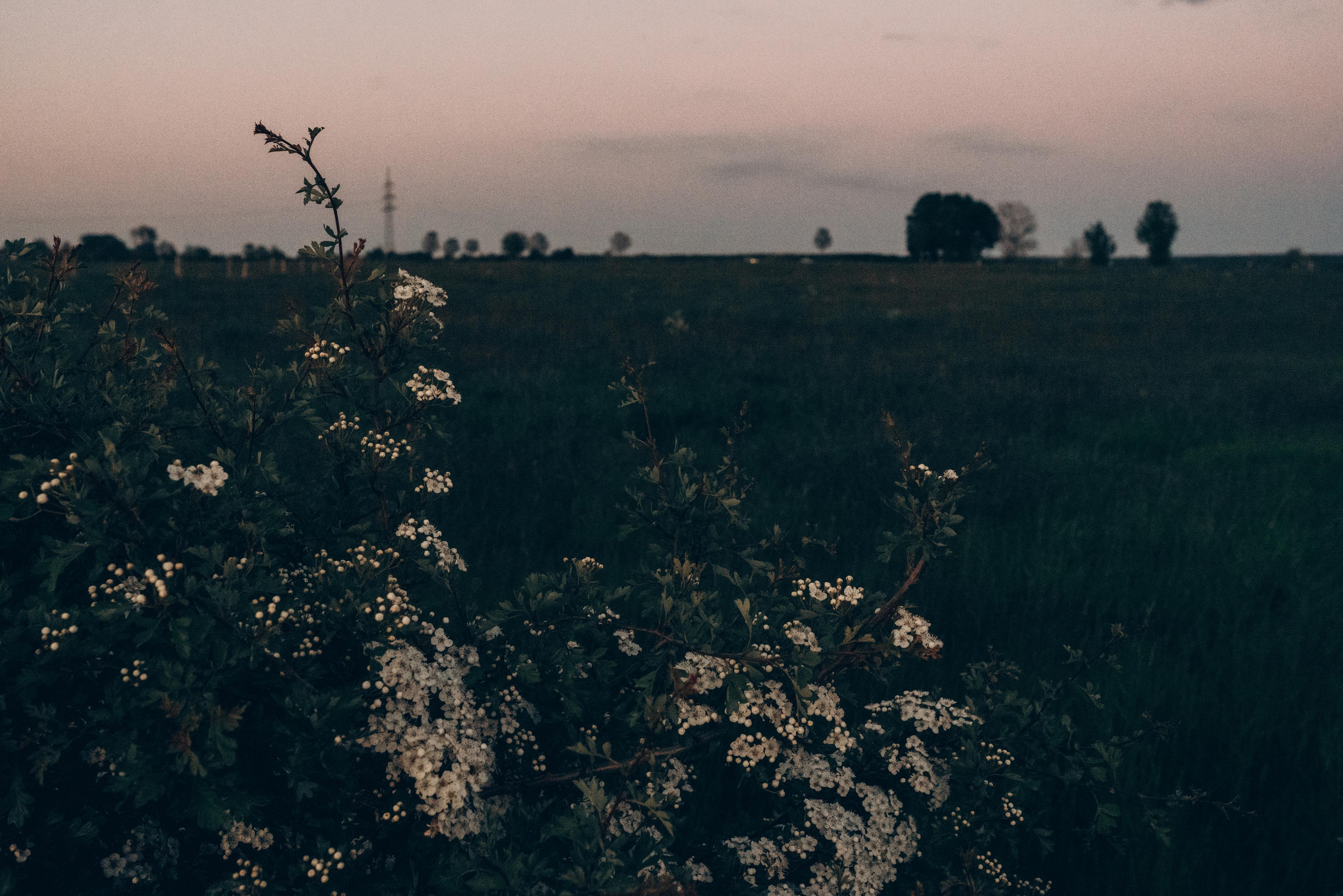Lorenza & Jeroen. Fotografie und Henna Kunst in Köln — Sylvette Loda