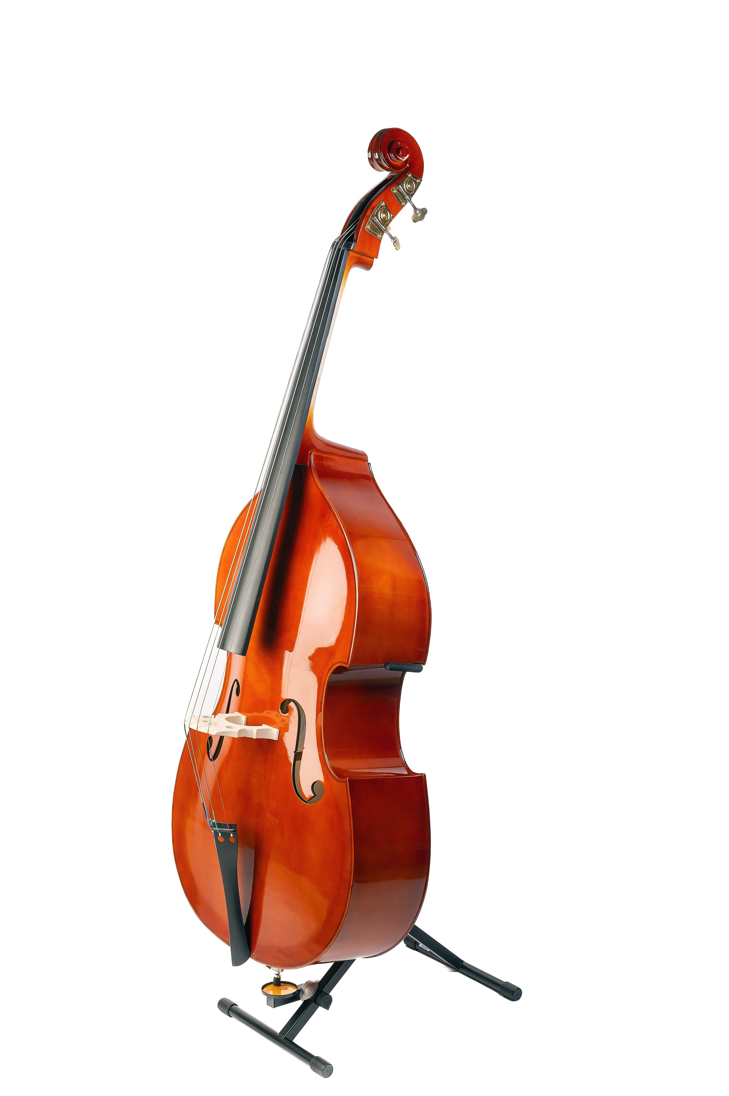 Produs. George Boicu — Fotograf — Gura Humorului