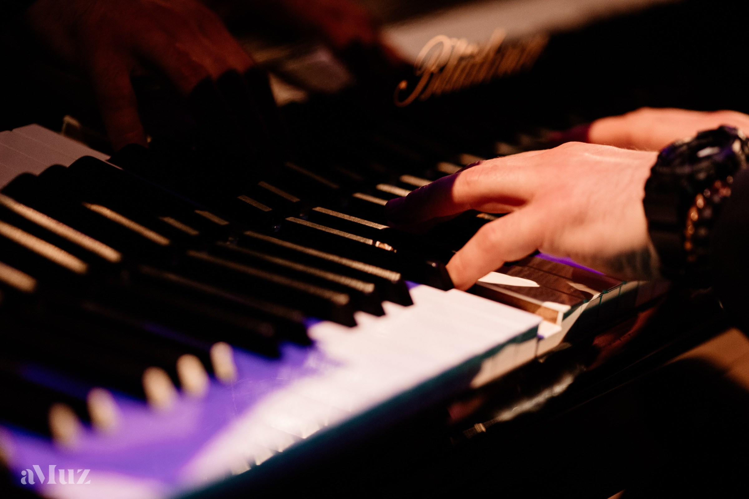 Koncert Jazzowy amuz. Fotograf Ślubny Warszawa - Sesje Biznesowe Rodzinne Eventy