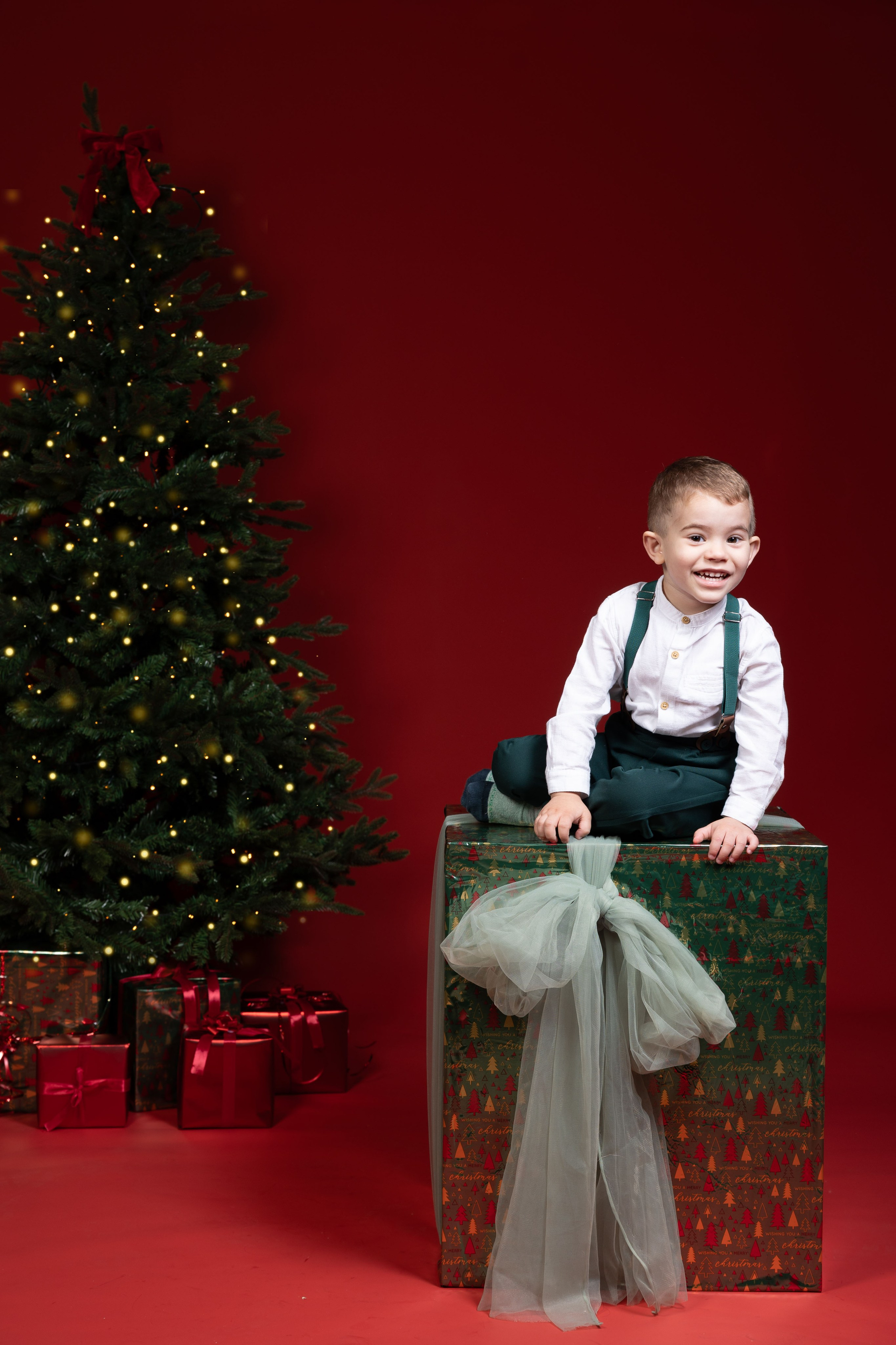 Portrait and Family Photographer in Netherlands