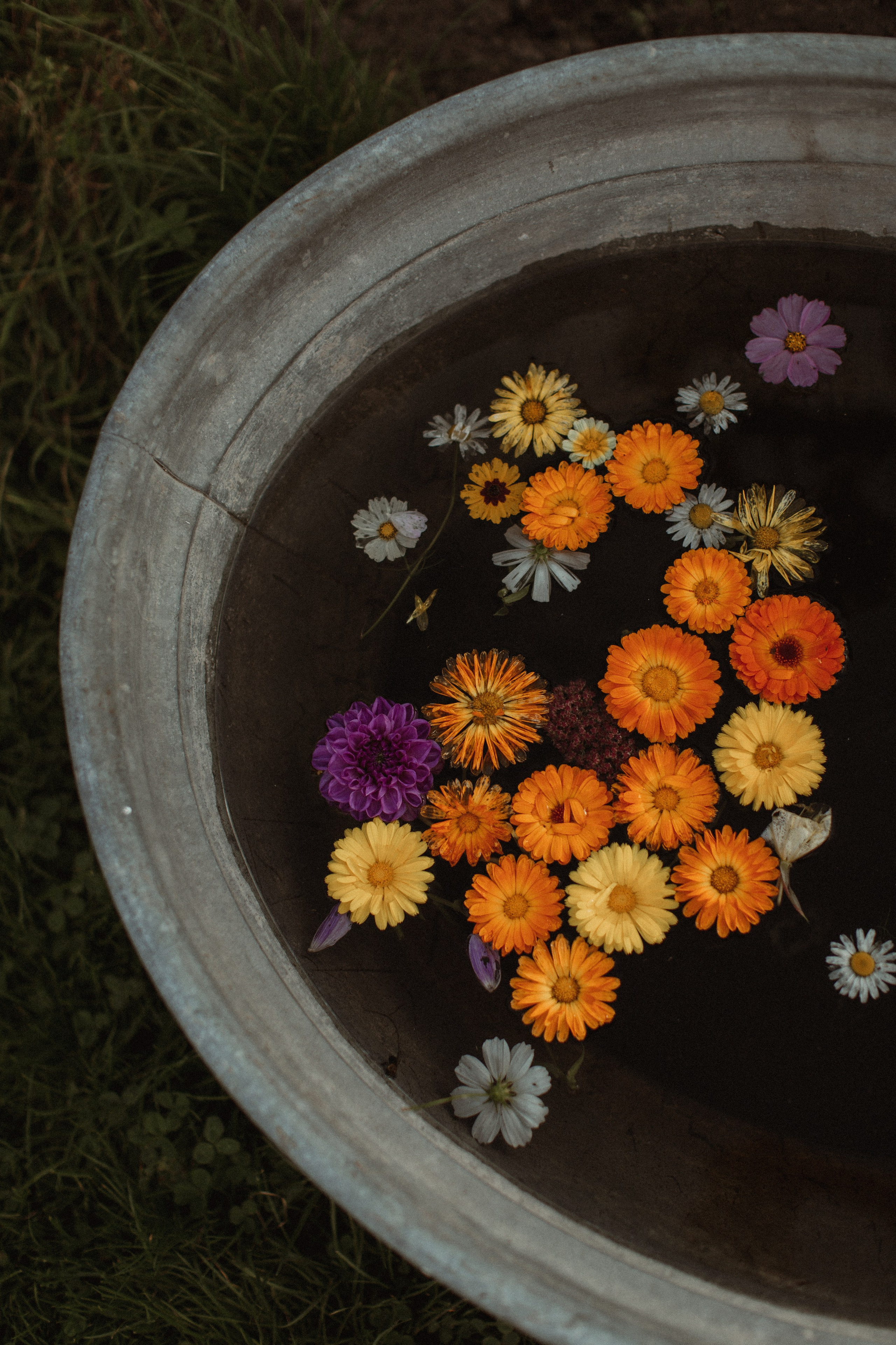 Yoga retreat. True self