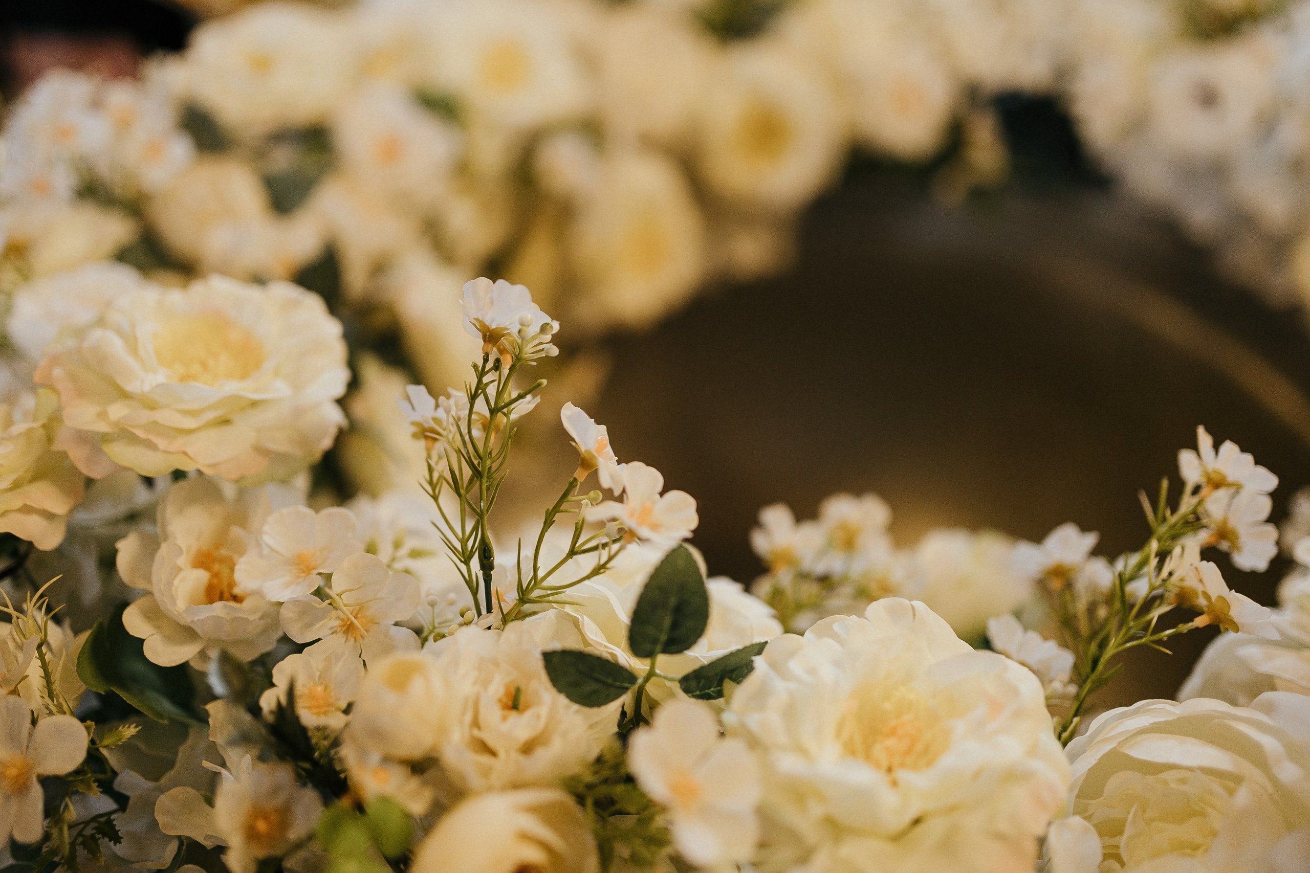 Baptism Zoe. Ionutdraganfoto.com