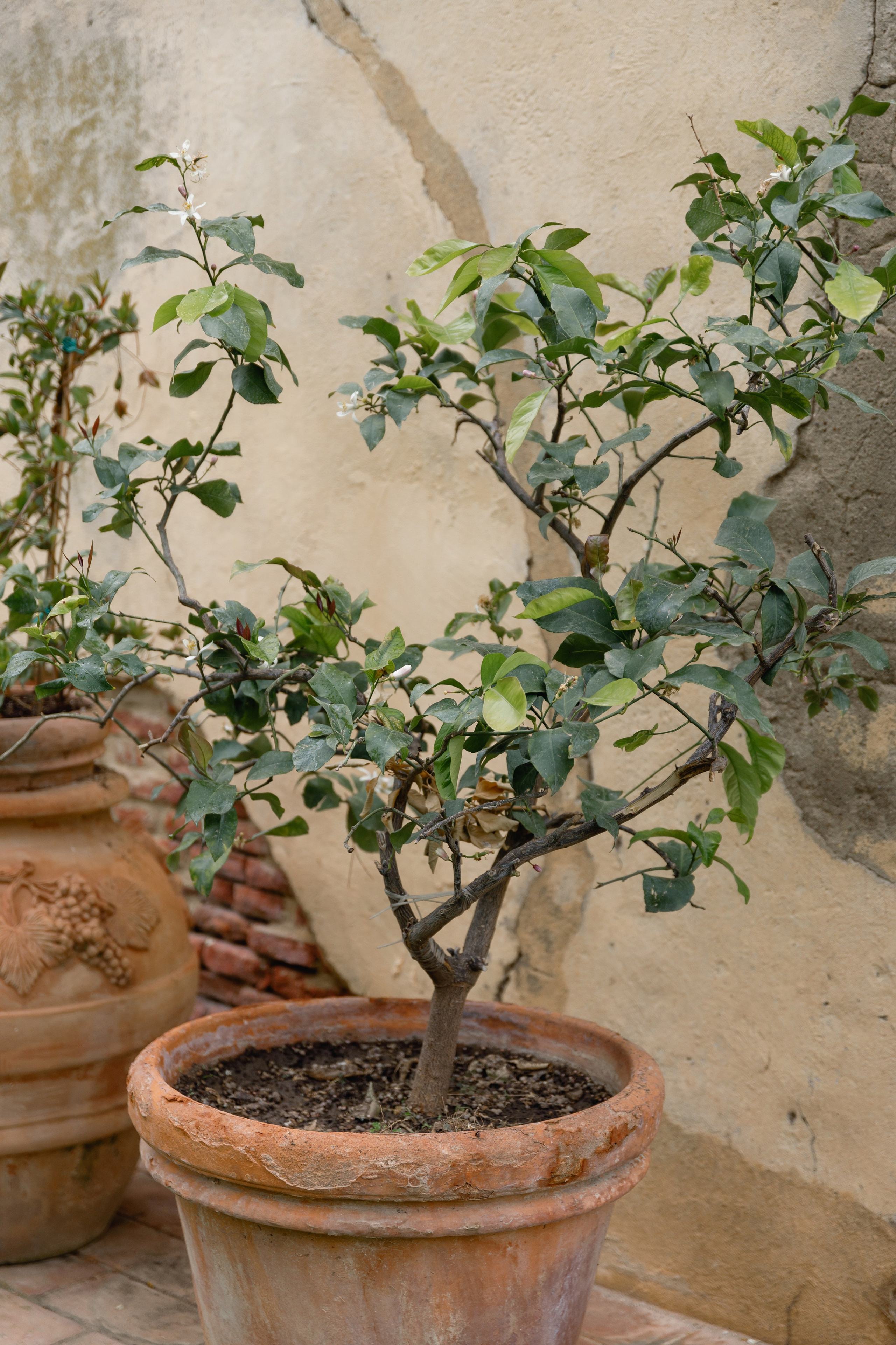 Wedding photographer Italy Rome, Tuscany, Lake Como, Sicily, Puglia. Wedding Photographer Rome Tuscany Como Sicily Puglia Amalfy Italy- Oksana Savenchuk