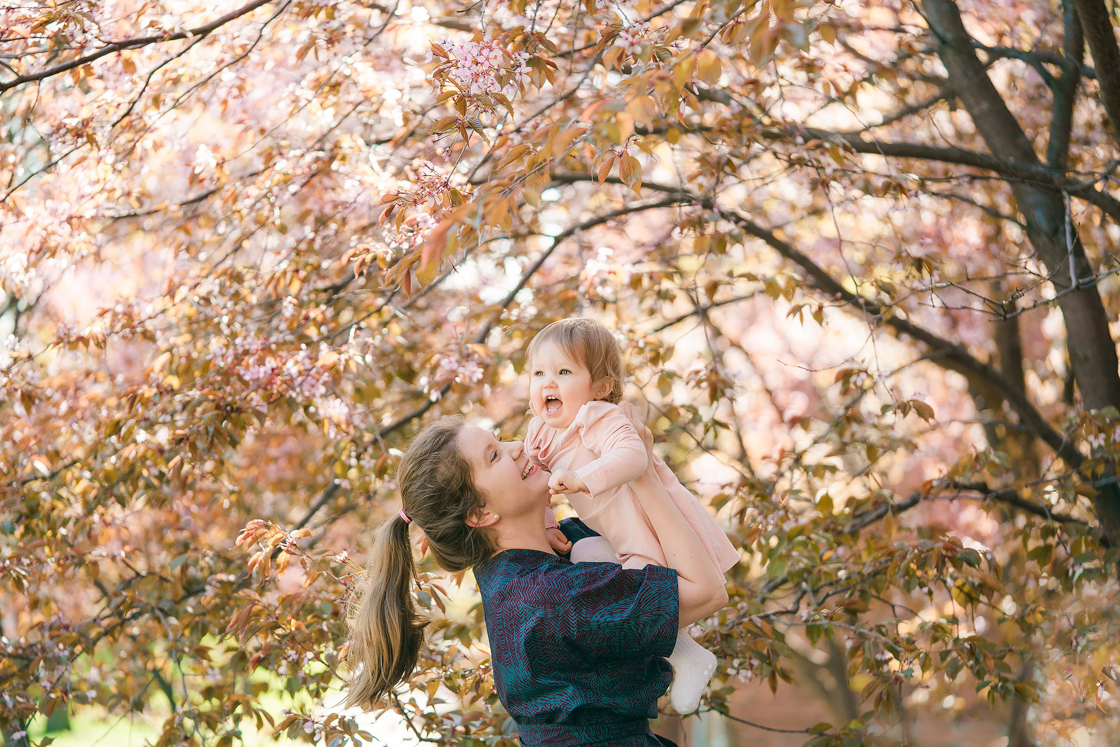 Kuvaus ruusutarhassa 2023