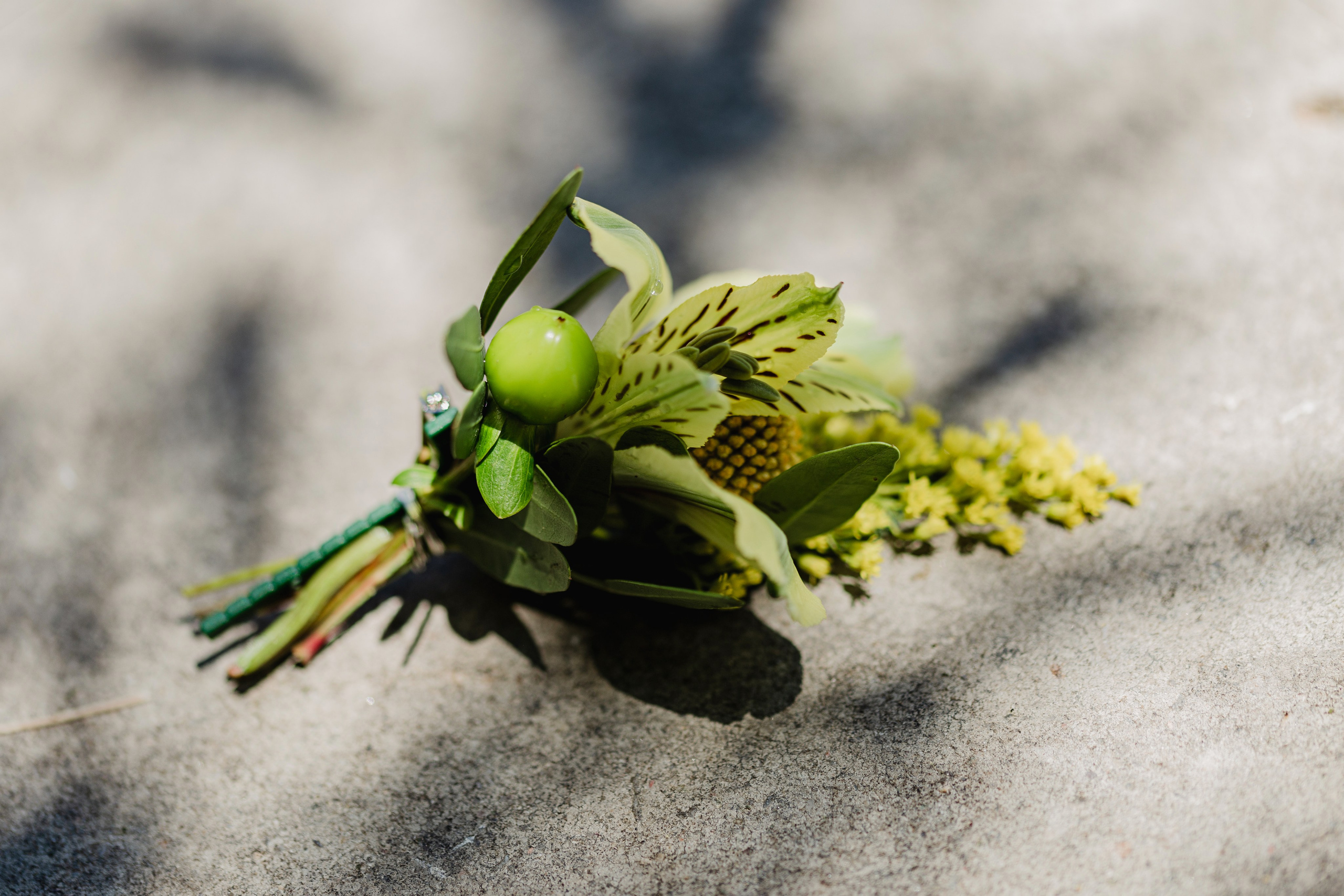 Fotografía de Bodas en Madrid - Rainbox: Capturamos Tu Amor con Pasión. Rainbox Estudio de Fotografía