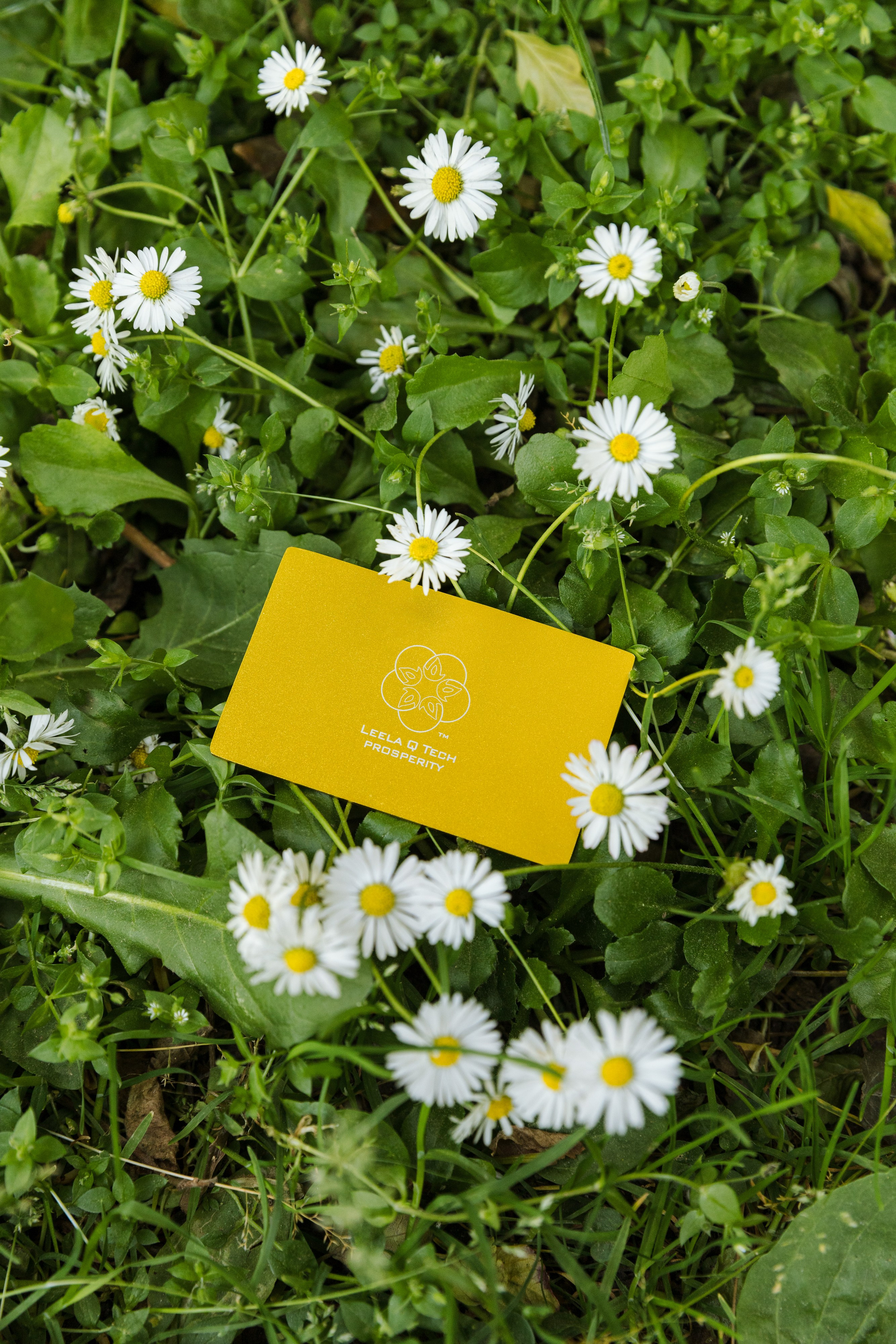 Предметная съемка. Фотограф в Барселоні Катерина Шелковнікова