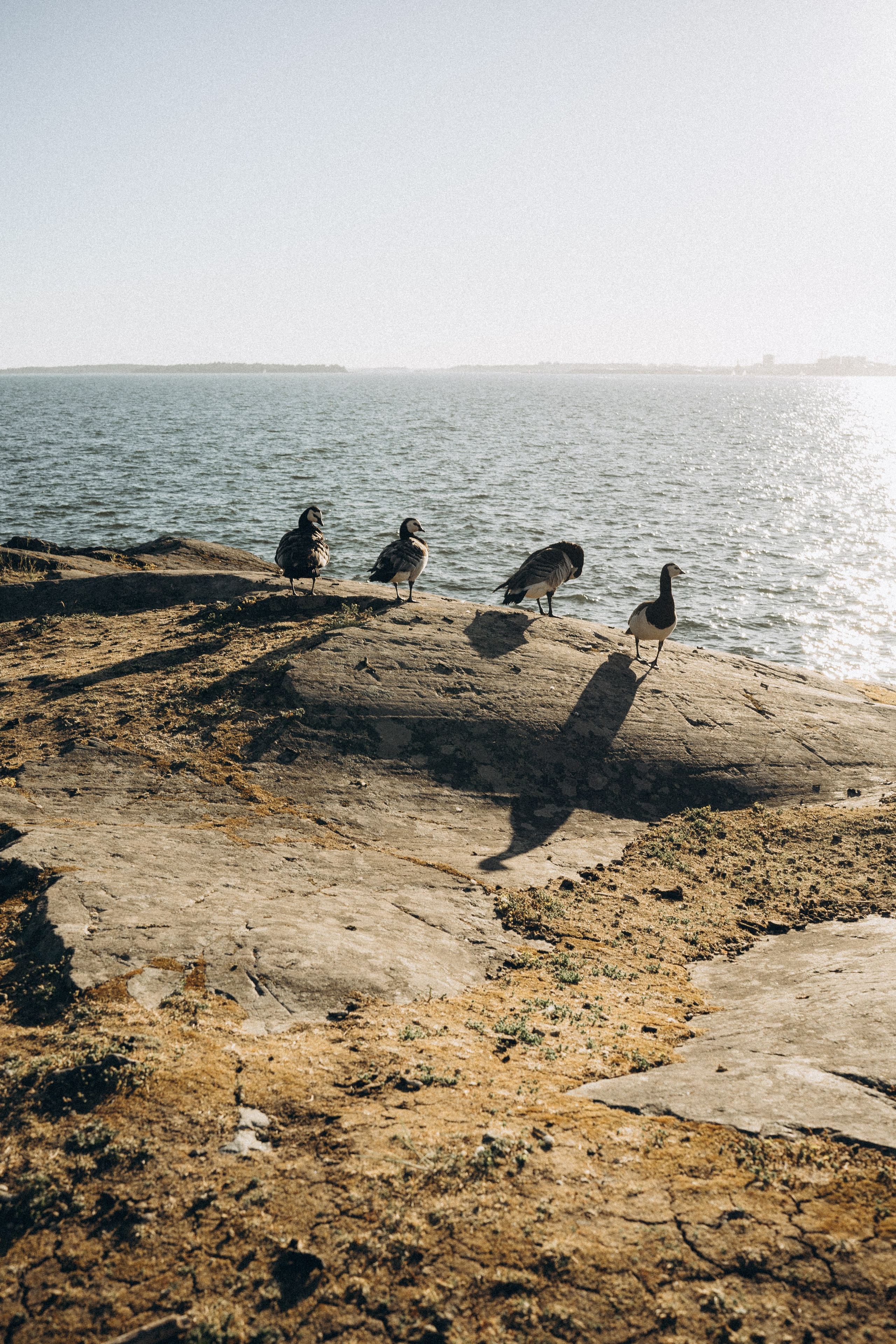 Beloved. Wedding and portrait photographer in Helsinki Vickan O