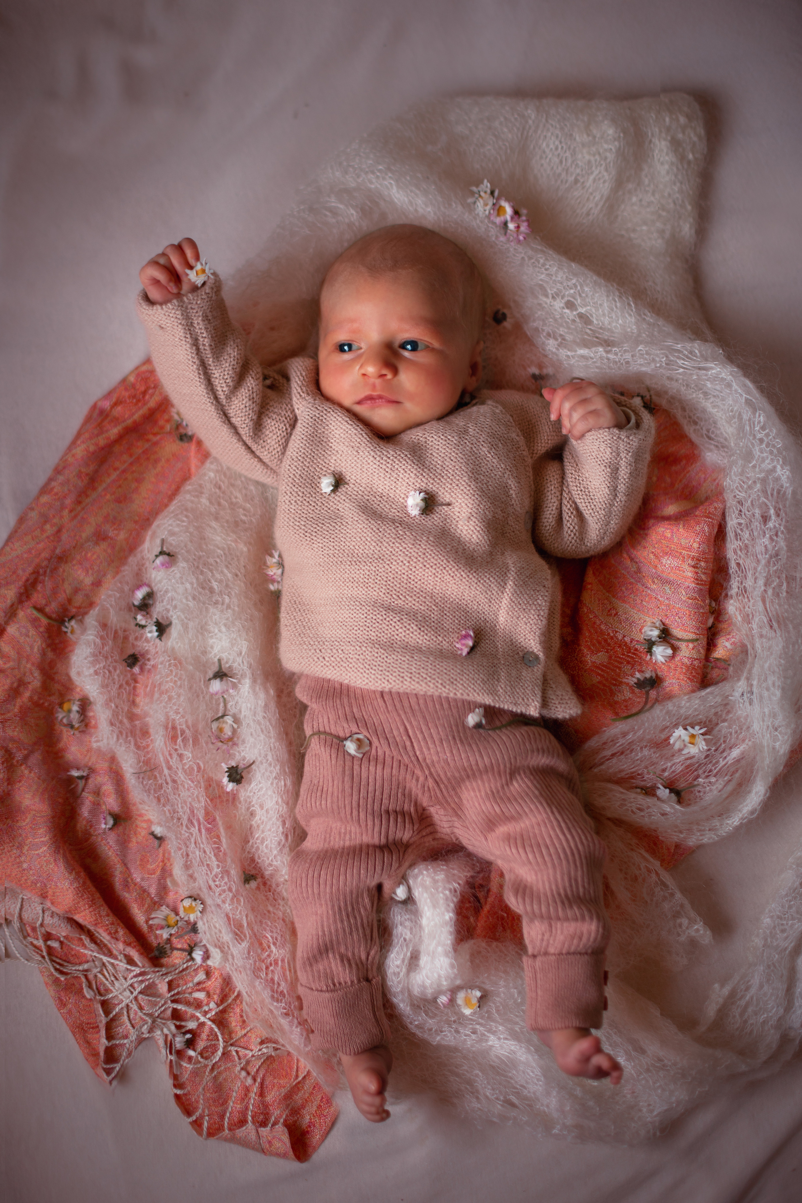 Малыши. Семейный и детский фотограф в Люксембурге Anastasia Arend