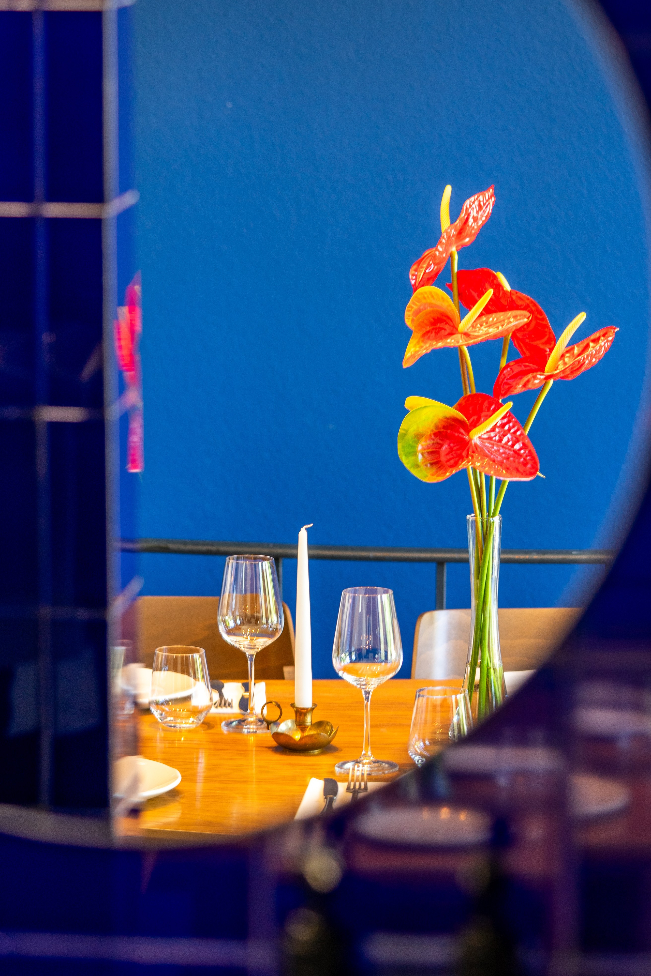 Borboleta. Maria Sher. Fotógrafa profissional do Porto, Portugal