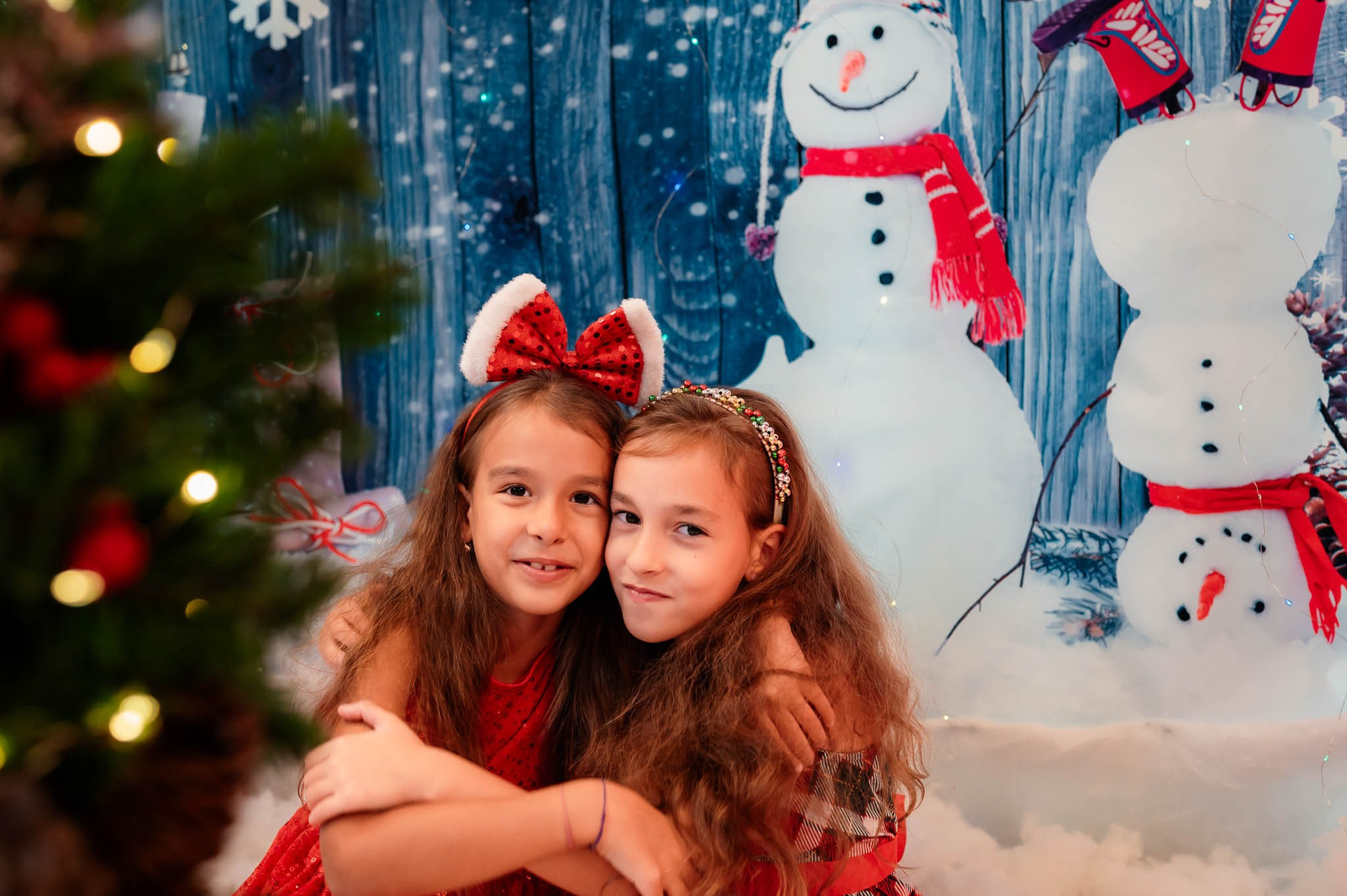 Sedinta Craciun Alina