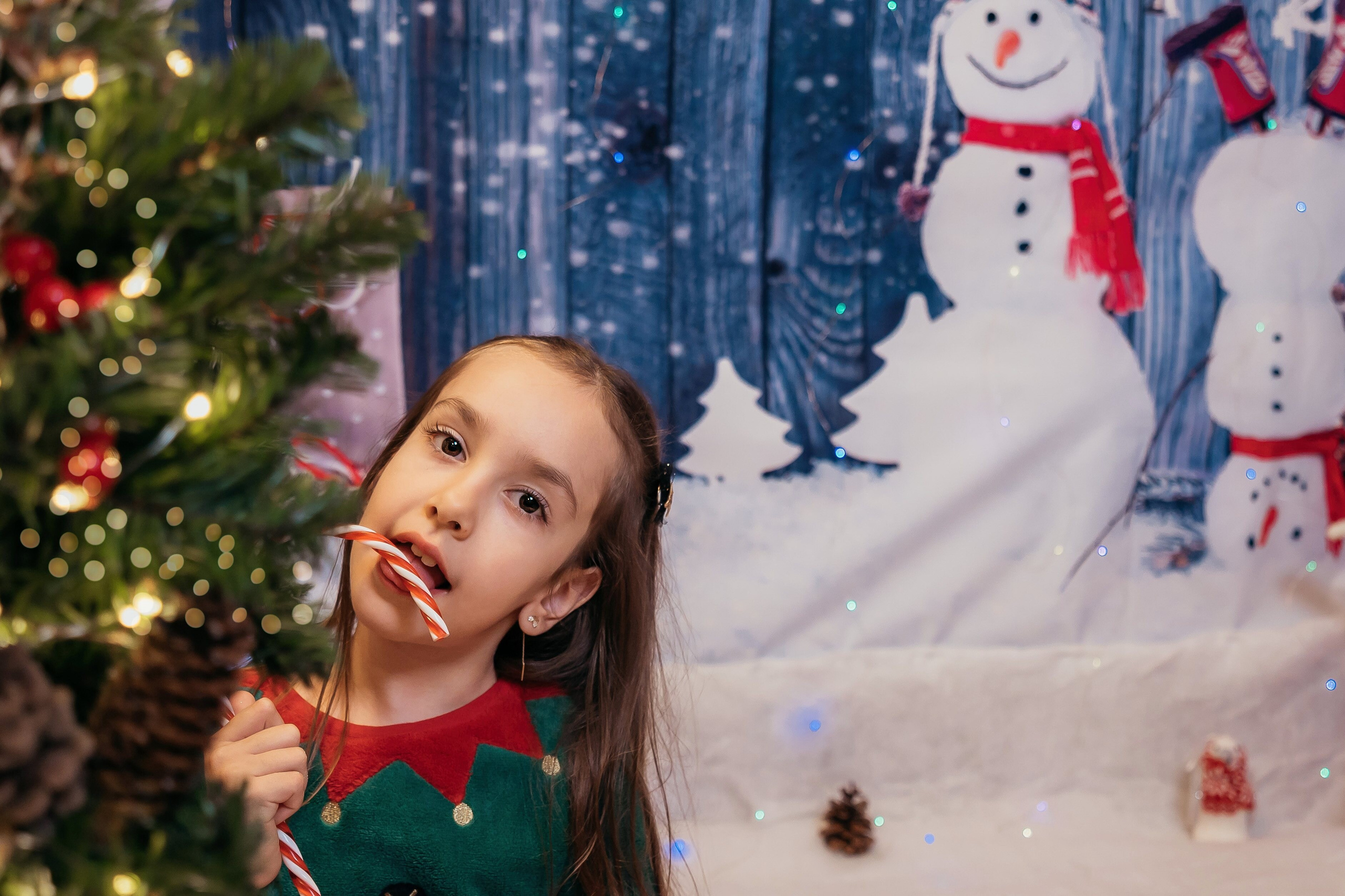 Sedinta Craciun Sofia