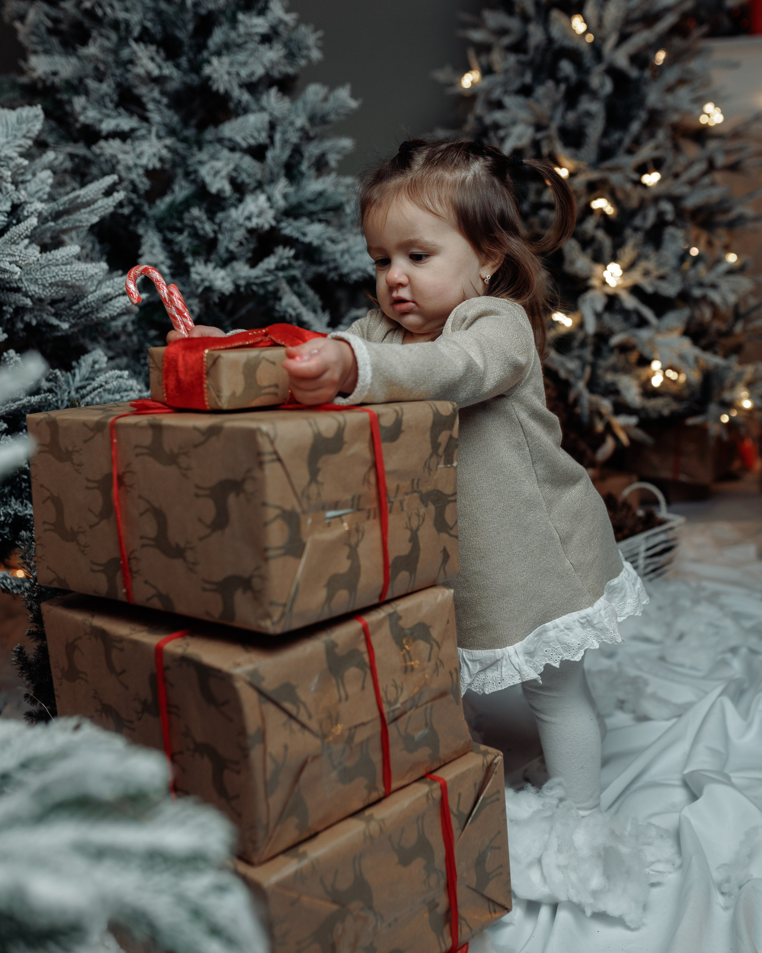 Christmas Time. Https://valphoto.wfolio.pro/