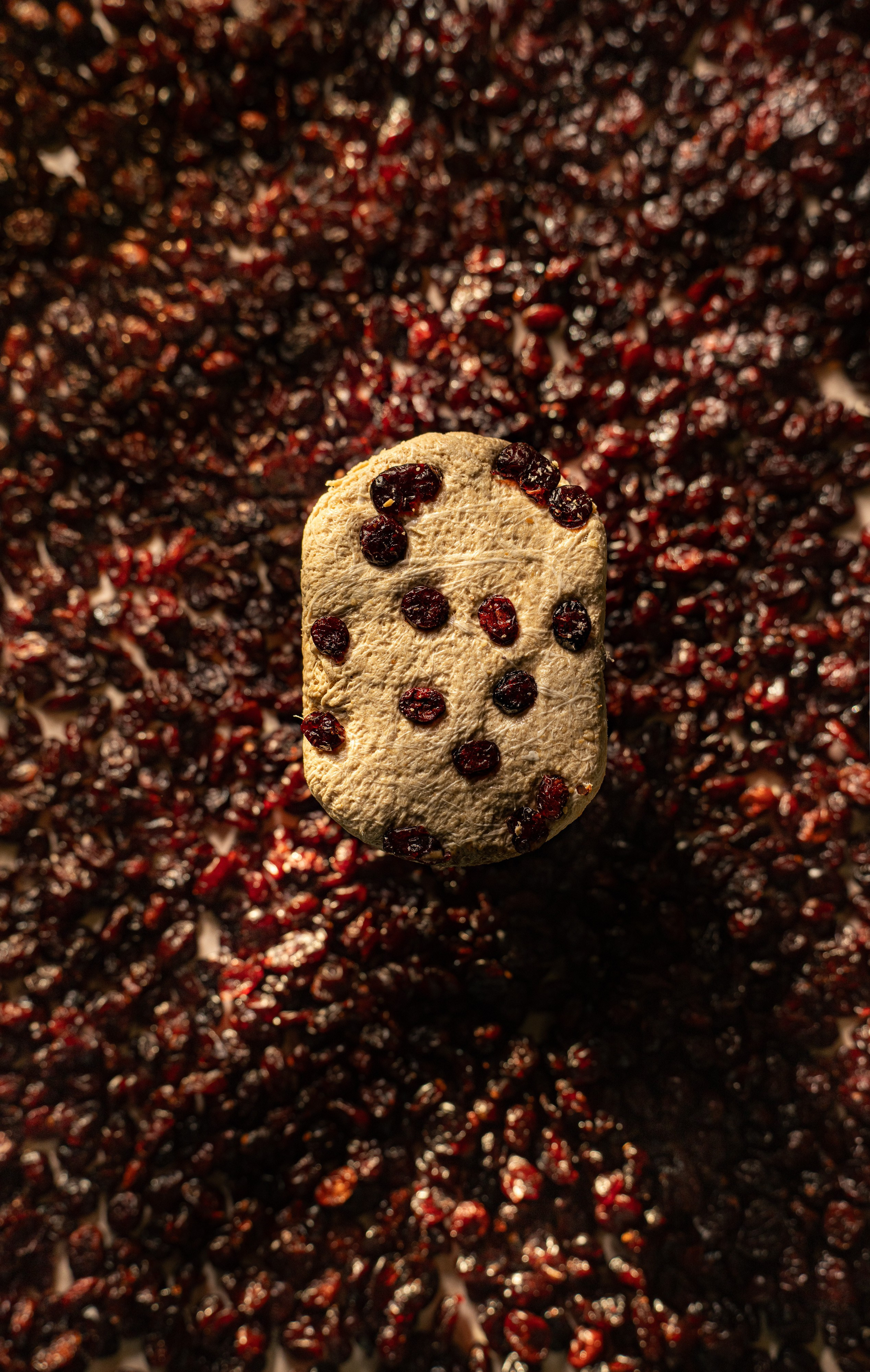 GALLERY. Χαλβάς Ελευθερίου