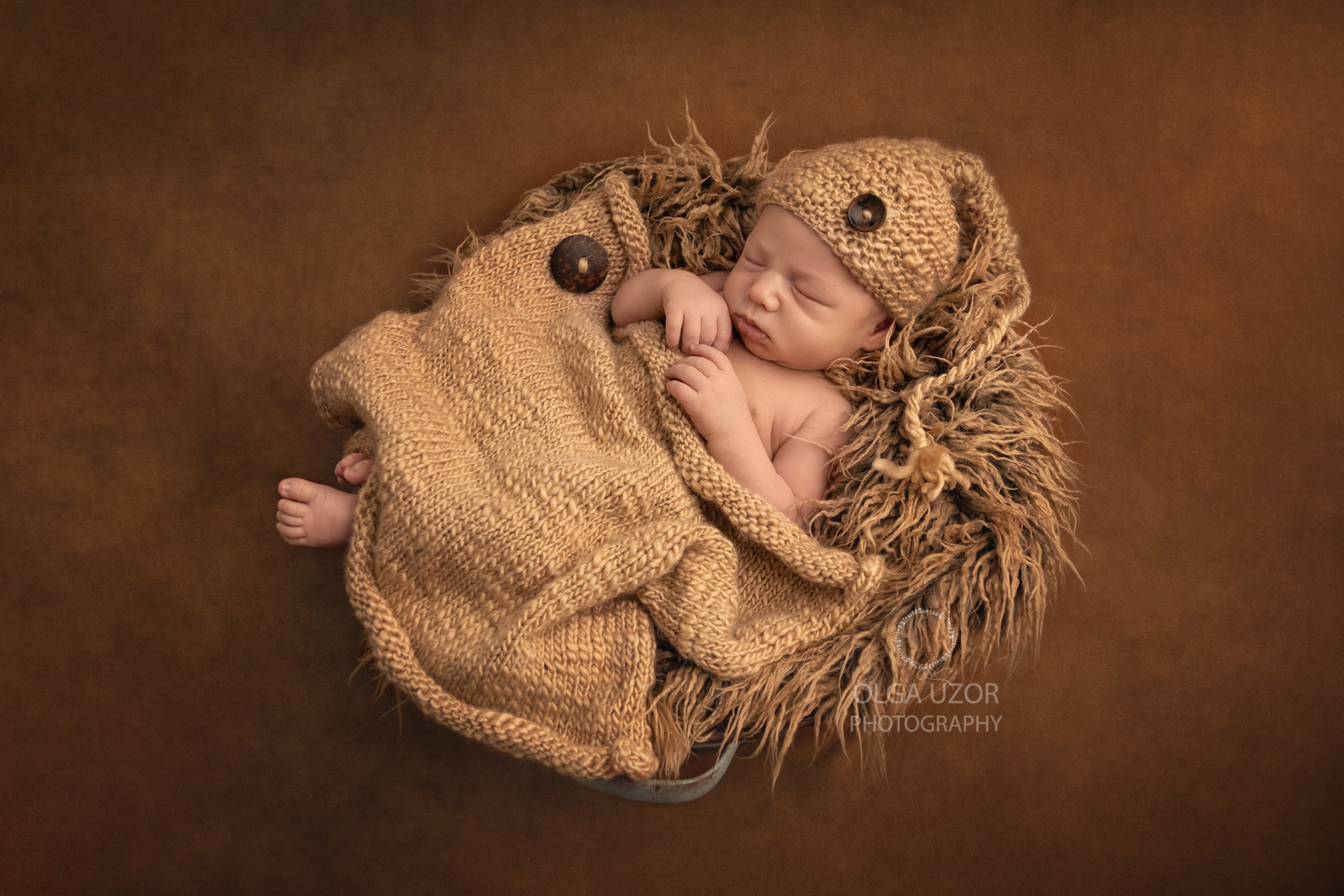 your local NewBorn and Family photographer 