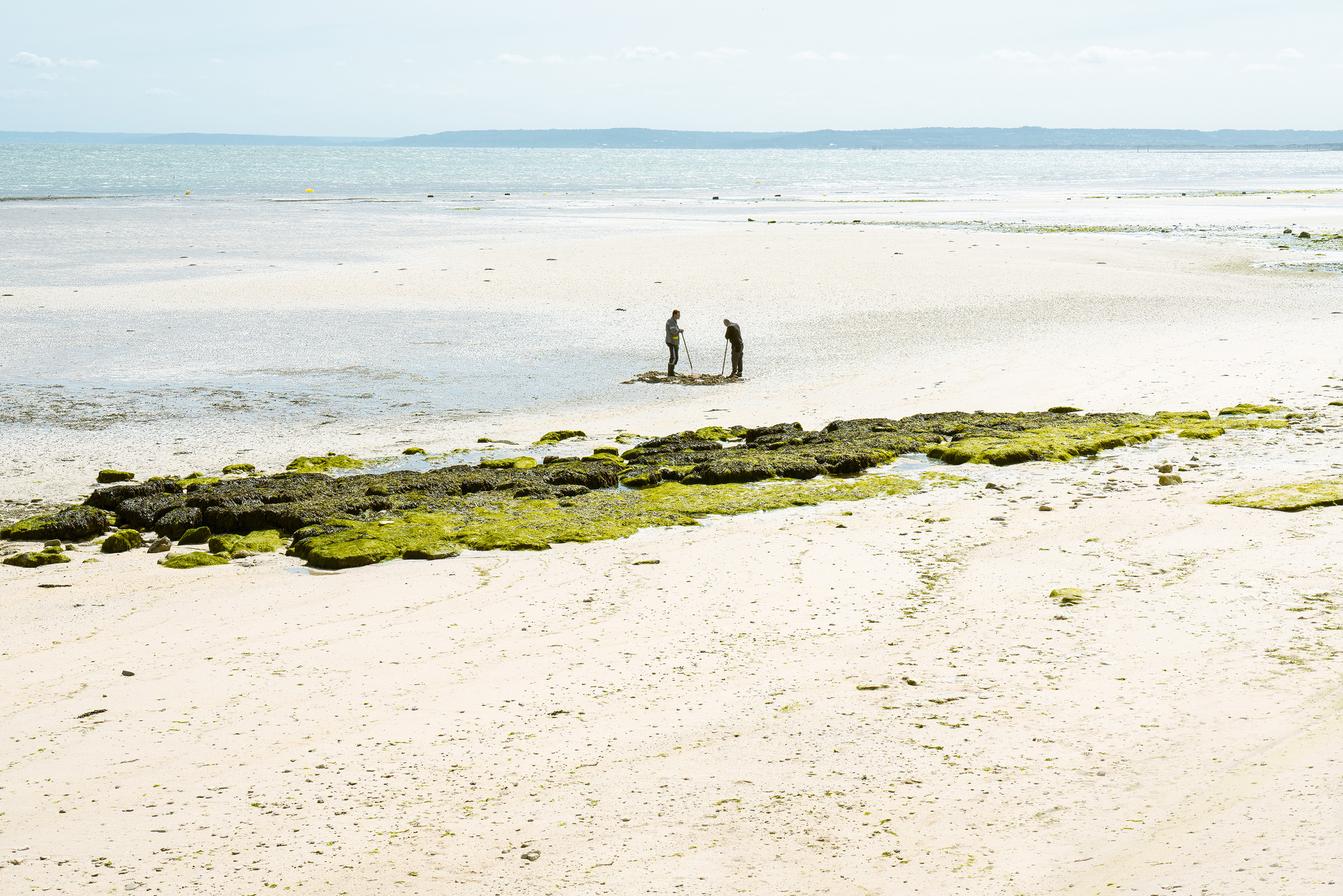 COMMERCIAL. Irène Shkoda