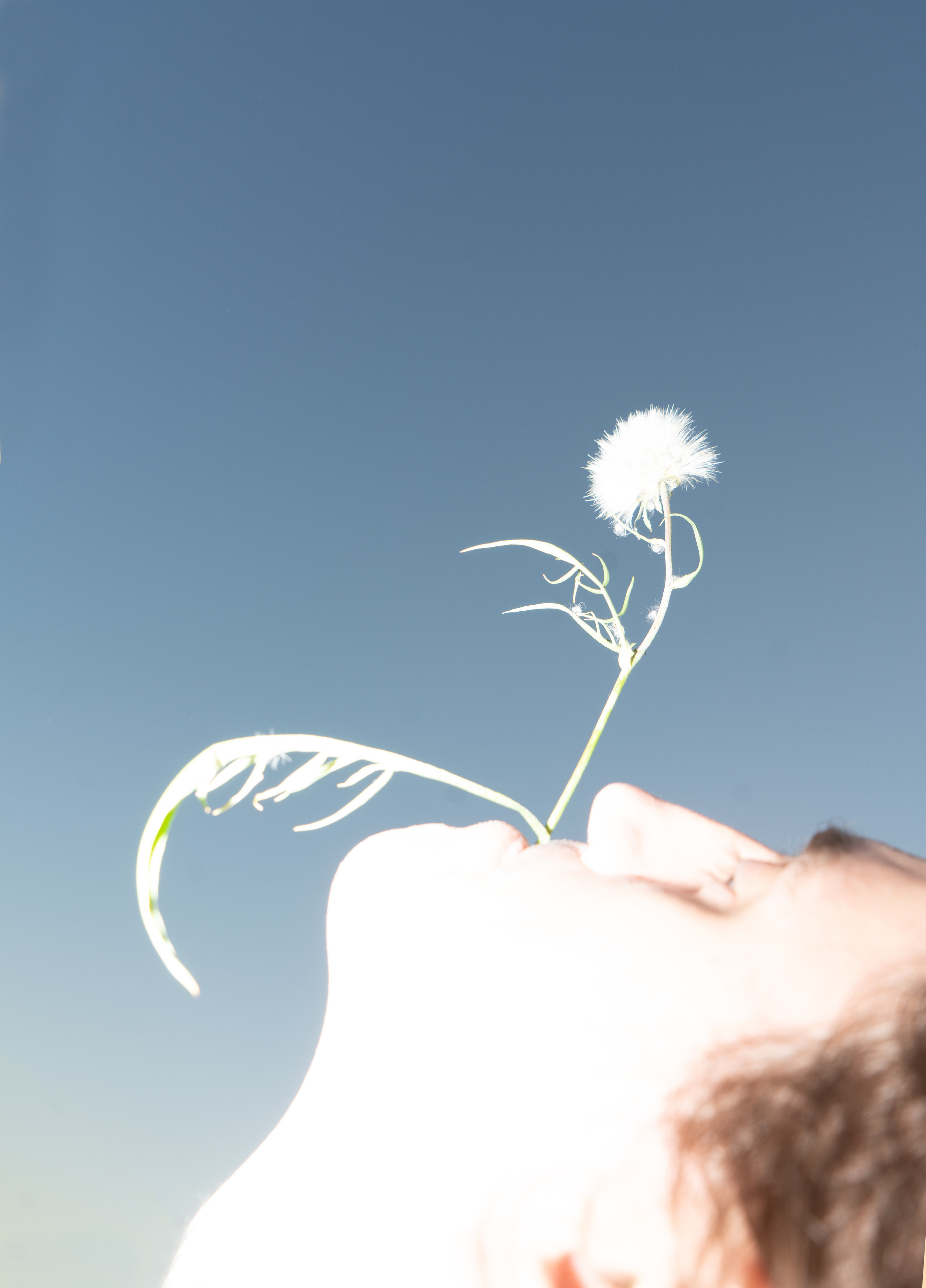 COMMERCIAL. Irène Shkoda