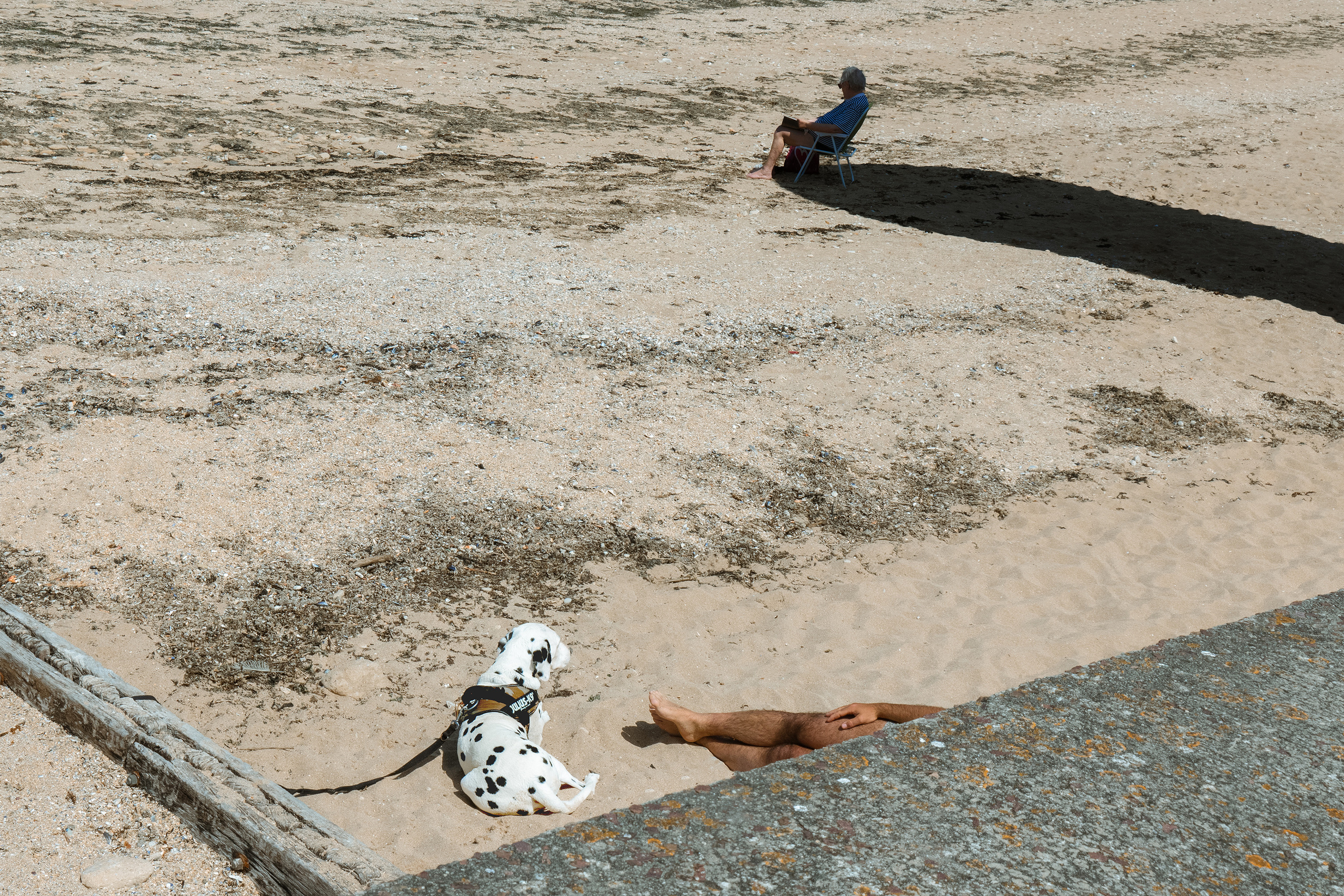 COMMERCIAL. Irène Shkoda