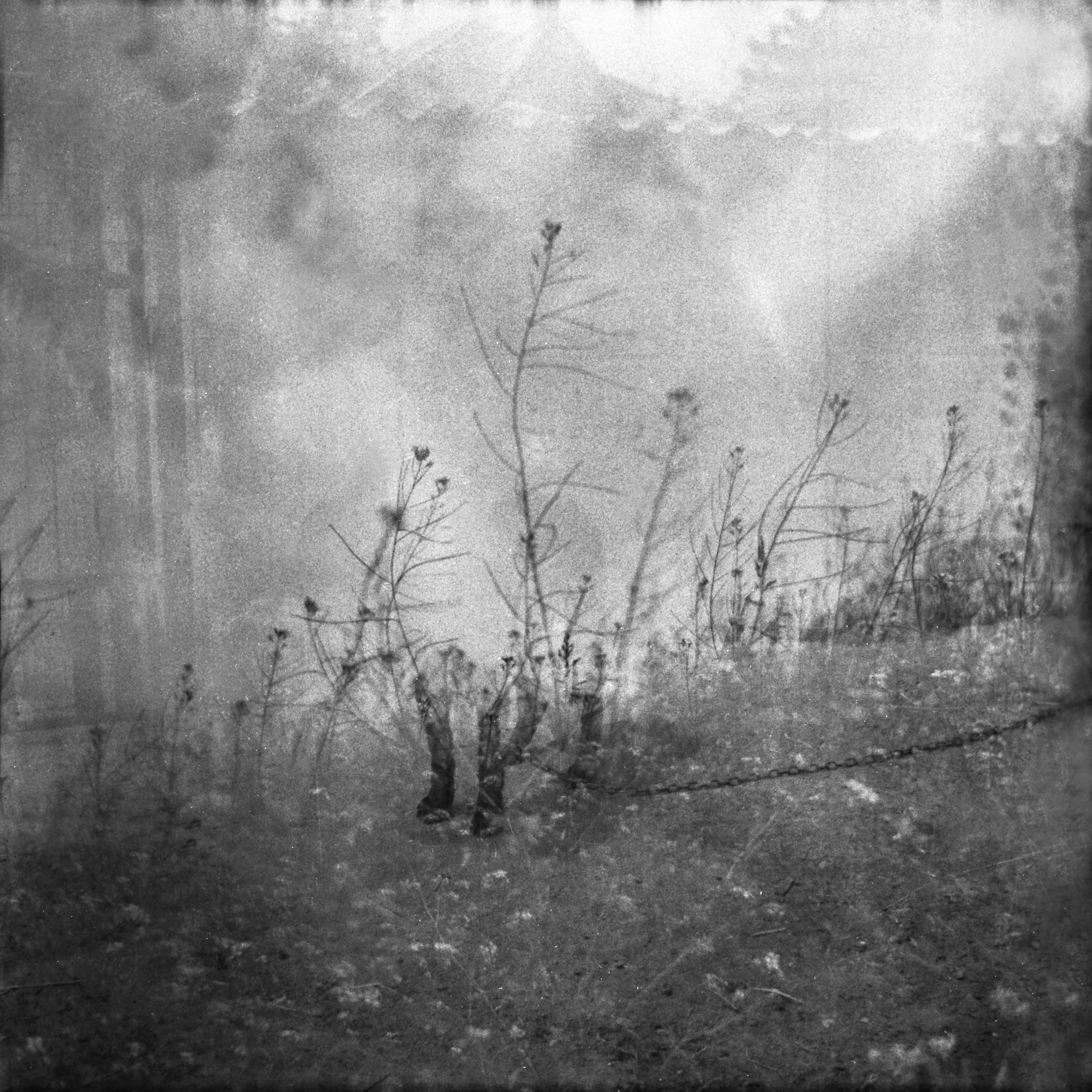 Tender Infinite Souls. Natalia Parfenova visual artist film photographer