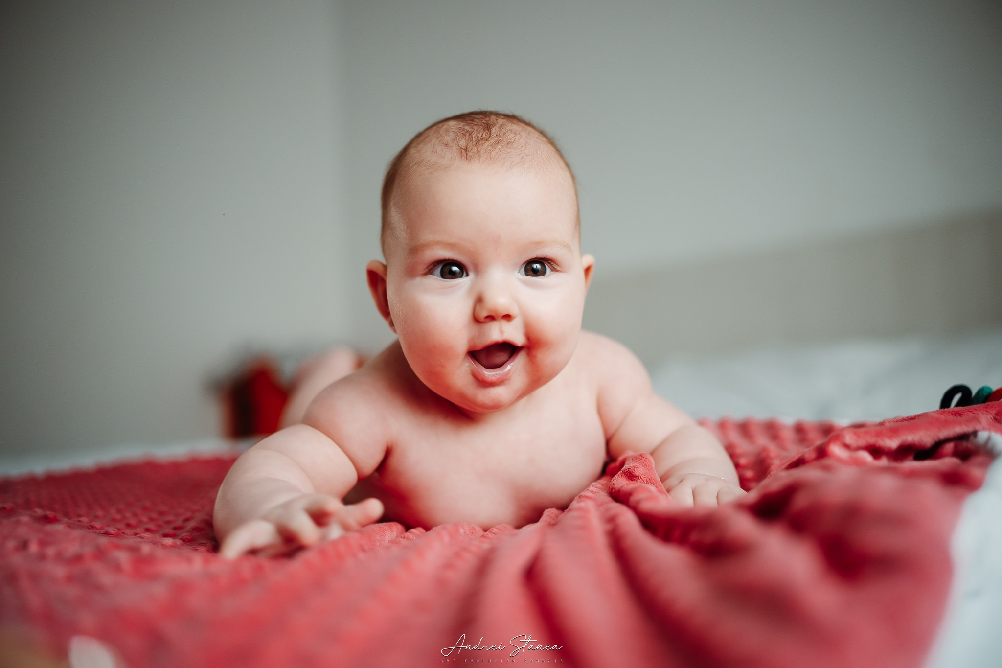 Zenayda. Andrei Stanea