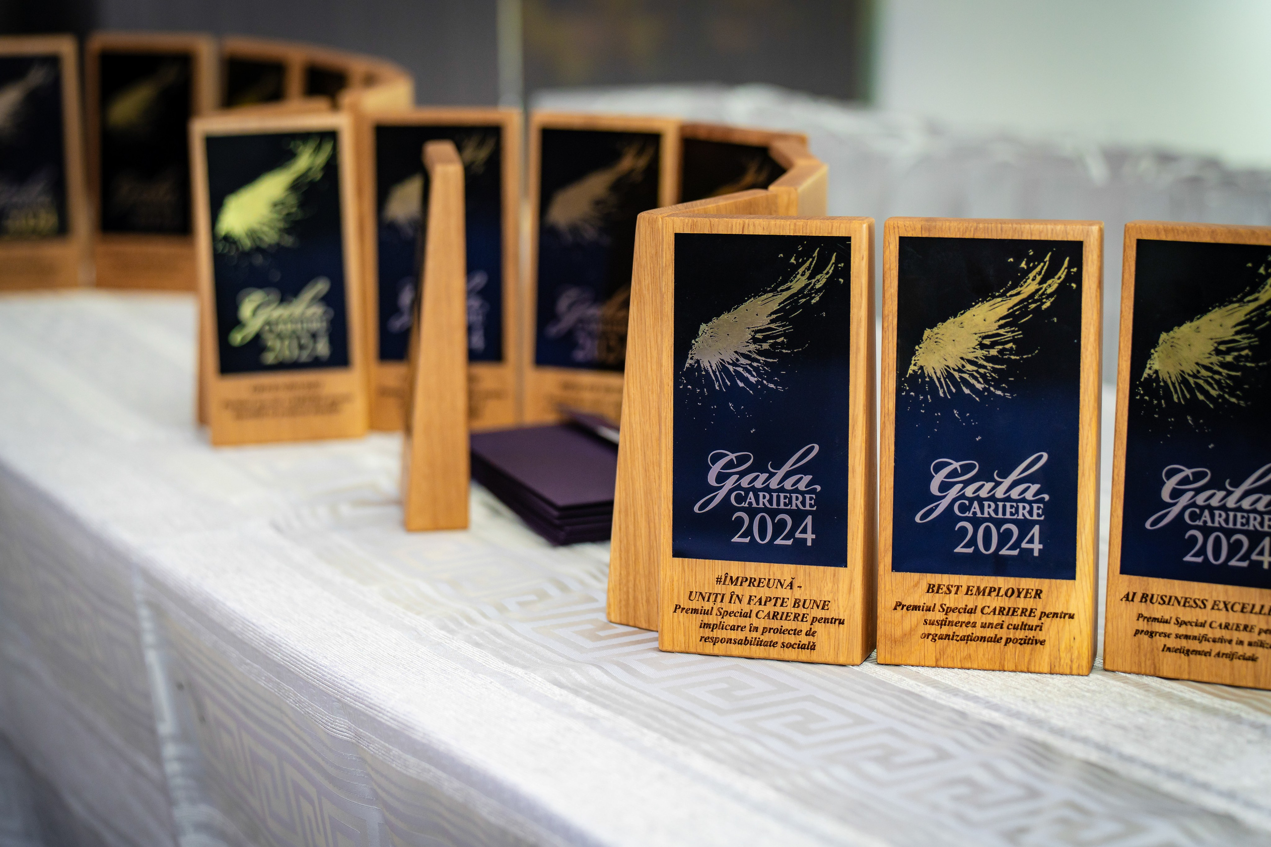 Gala Premiilor Revista Cariere - Biavati Events Bucuresti. MDimaFotoStudio. Fotograf de nuntă, evenimente private și de familie