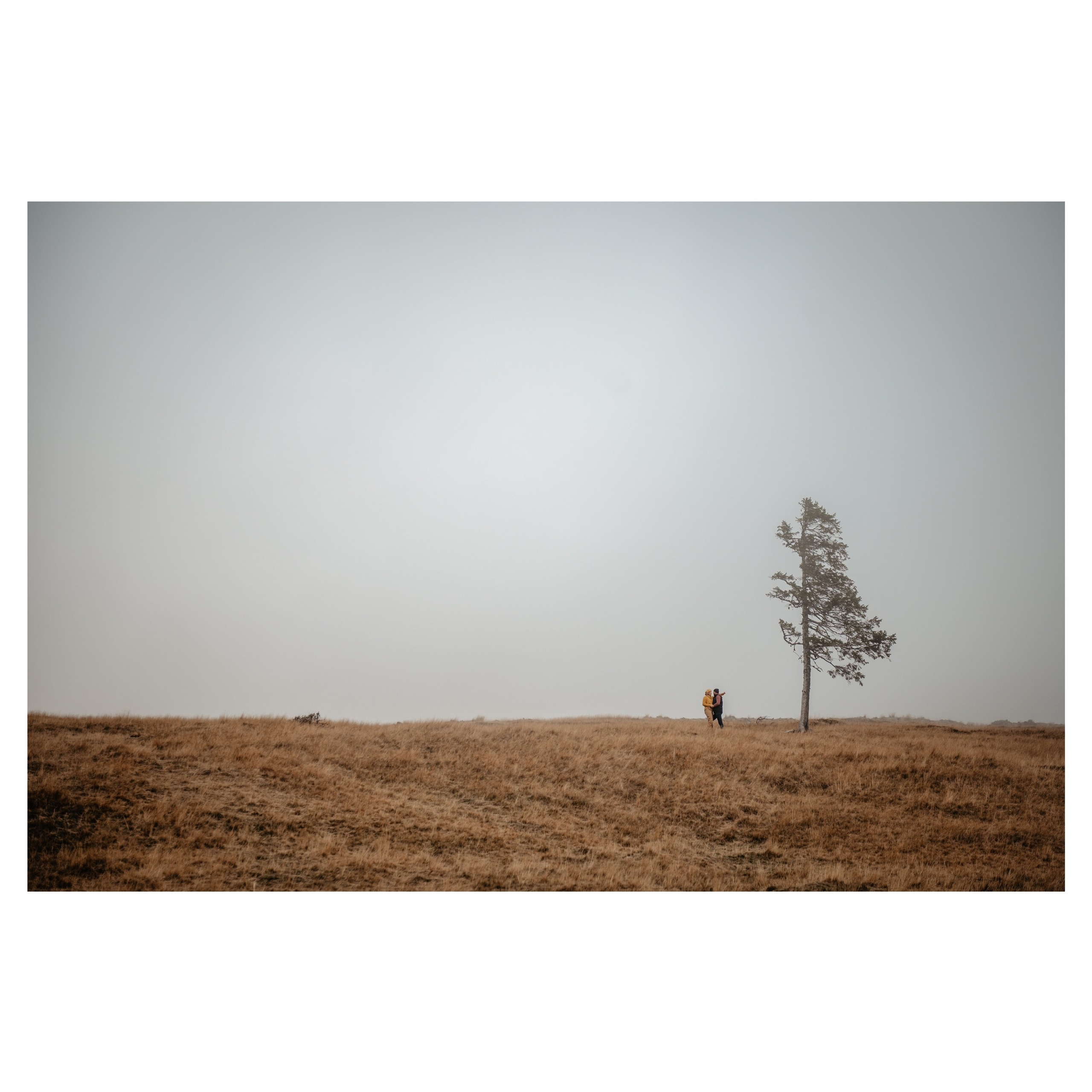 Workshop. Ionut Birceanu