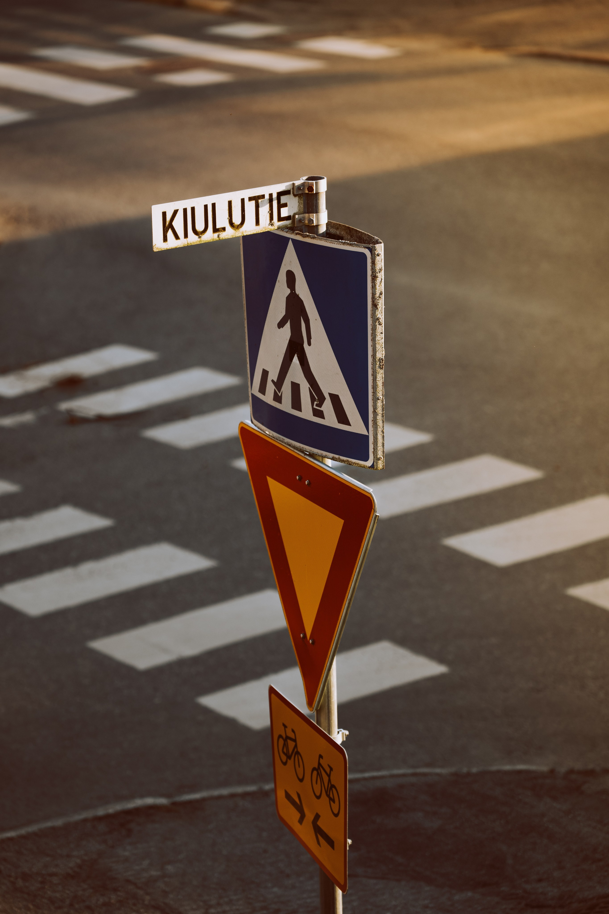 Gallery. Natasha Shakh