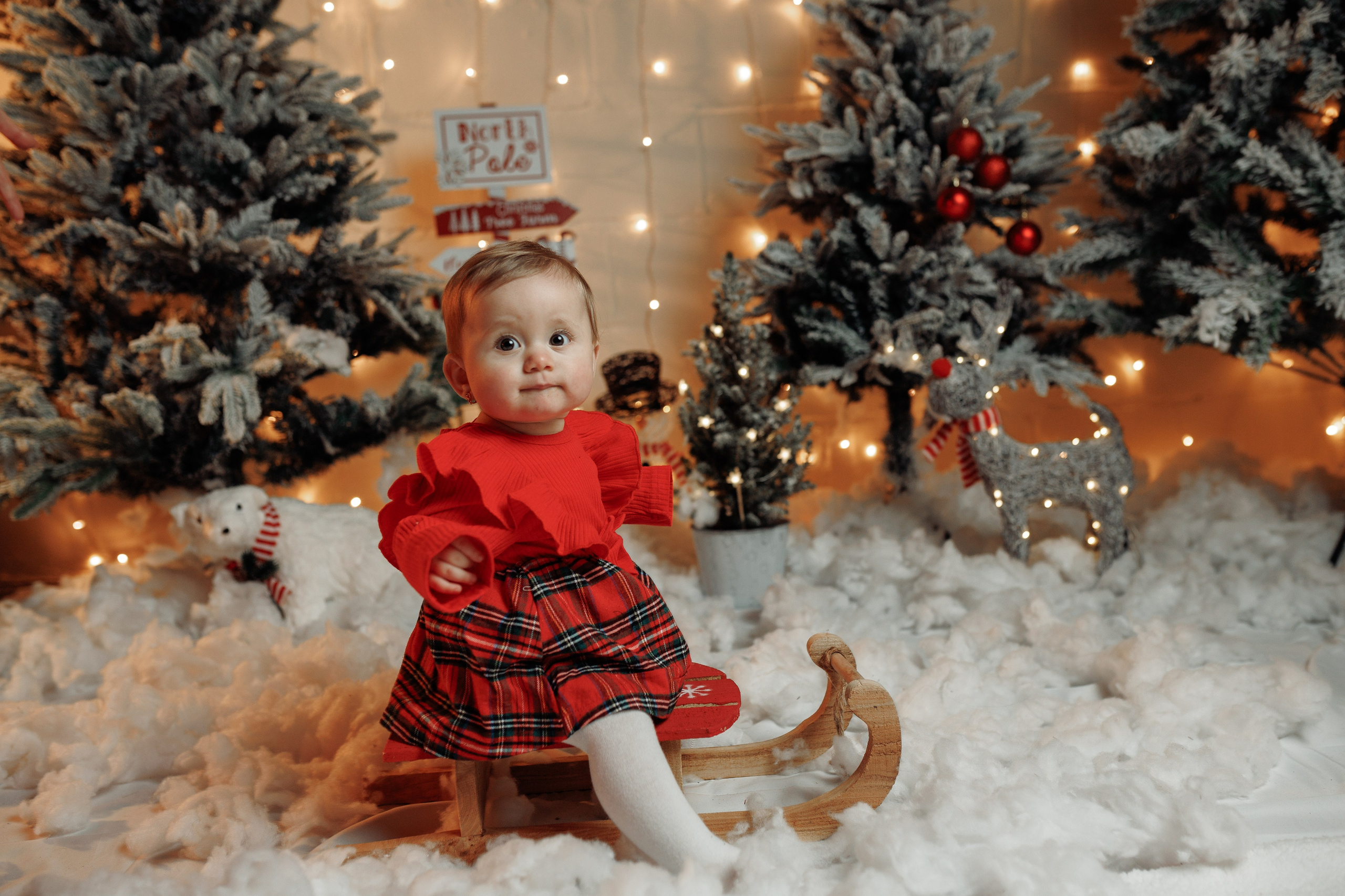 Christmas Time. Https://valphoto.wfolio.pro/