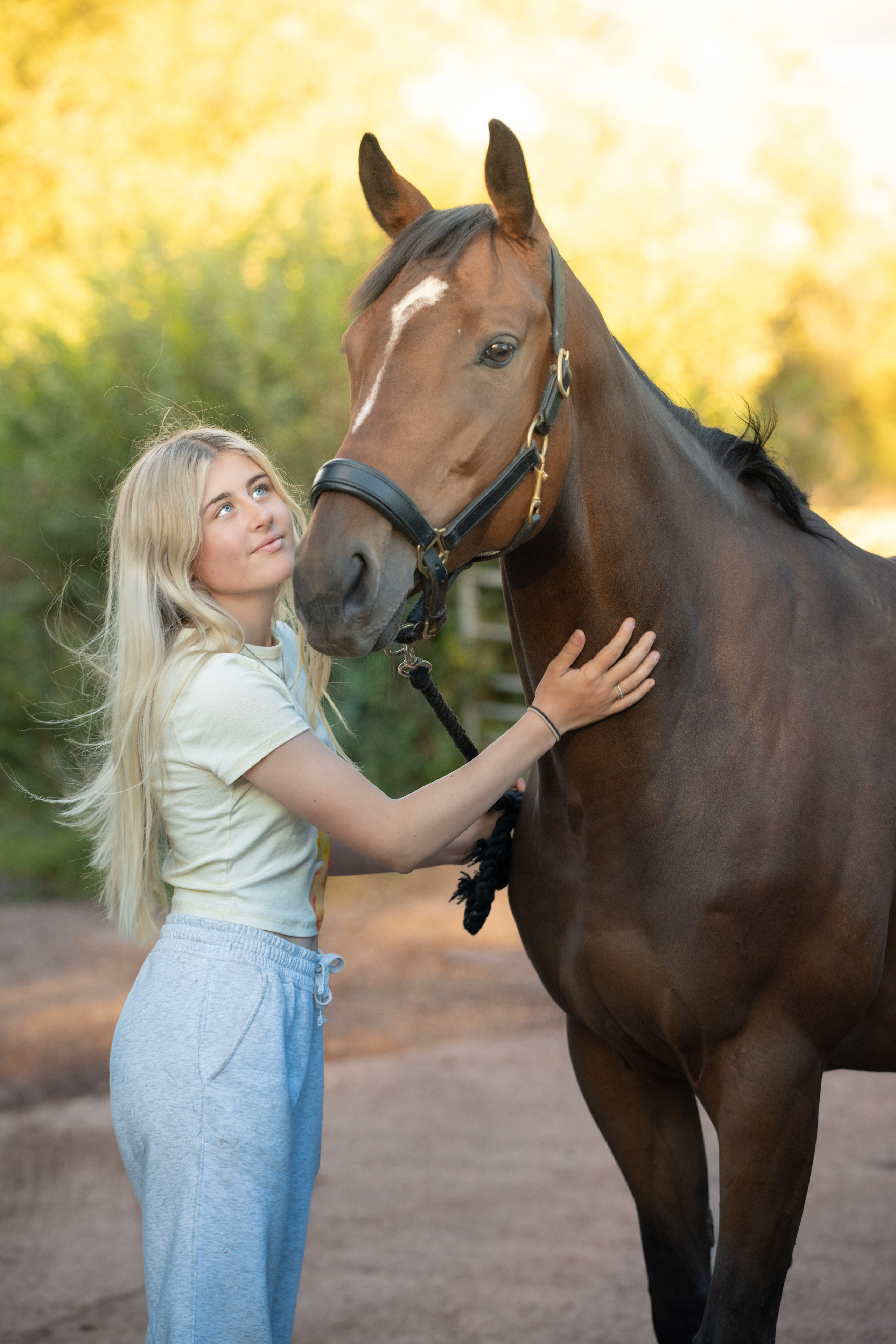Equine Photography Portfolio | Leicestershire Horse Portrait Photographer. Leicestershire Equine Photography by El | Authentic Equine Portraits & Events