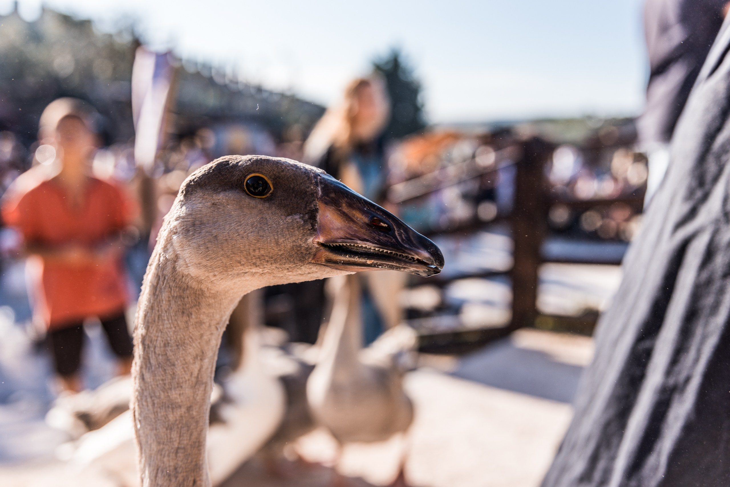 Fotografia de Eventos de Luxo | Beyond Creative. Produtora de Vídeo e Fotografia Cinematográfica | Beyond Creative 20 Portugal Lisboa