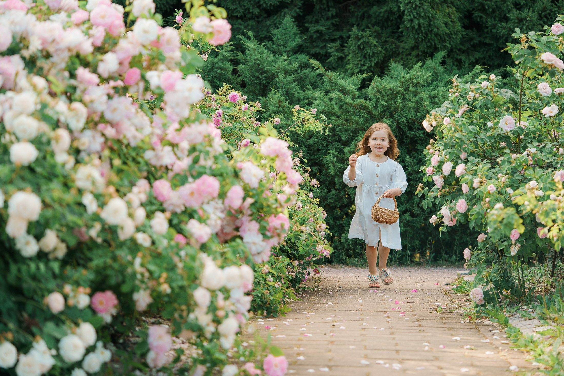 Kuvaus ruusutarhassa 2023