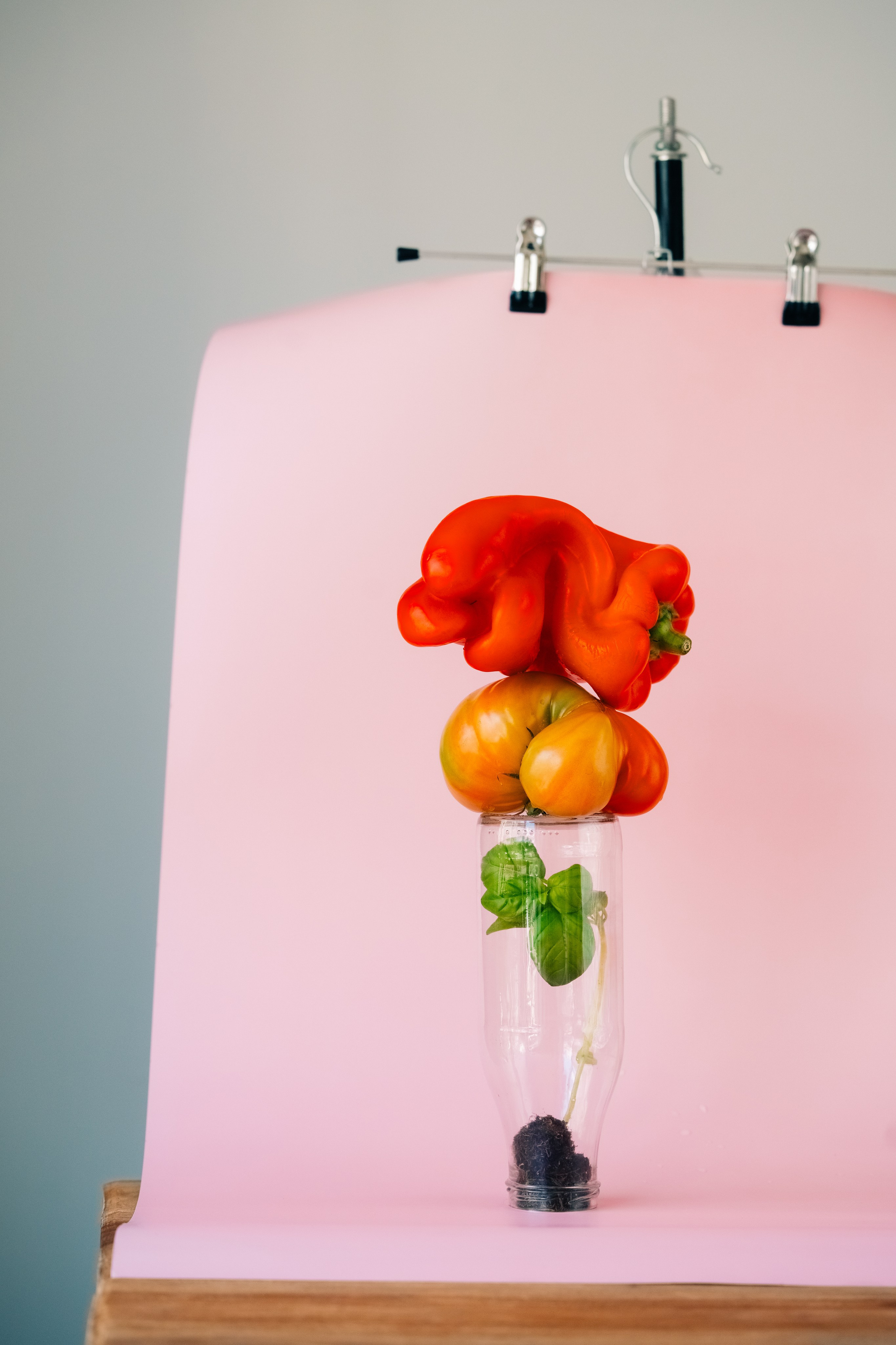 Креативная овощная стопка с перцем и помидорами на розовом фоне. Уникальная композиция из красного перца и томатов-реликвий, уложенных на стеклянную бутылку с базиликом на нежно-розовом фоне.