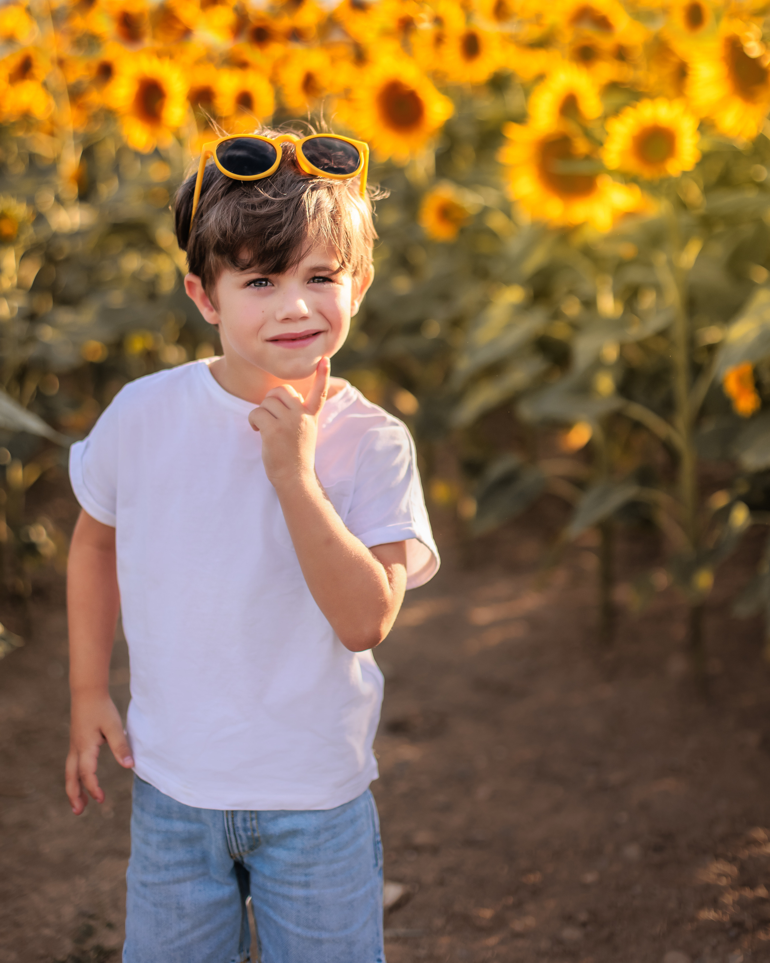 Luka (Prangins Switzerland). Home